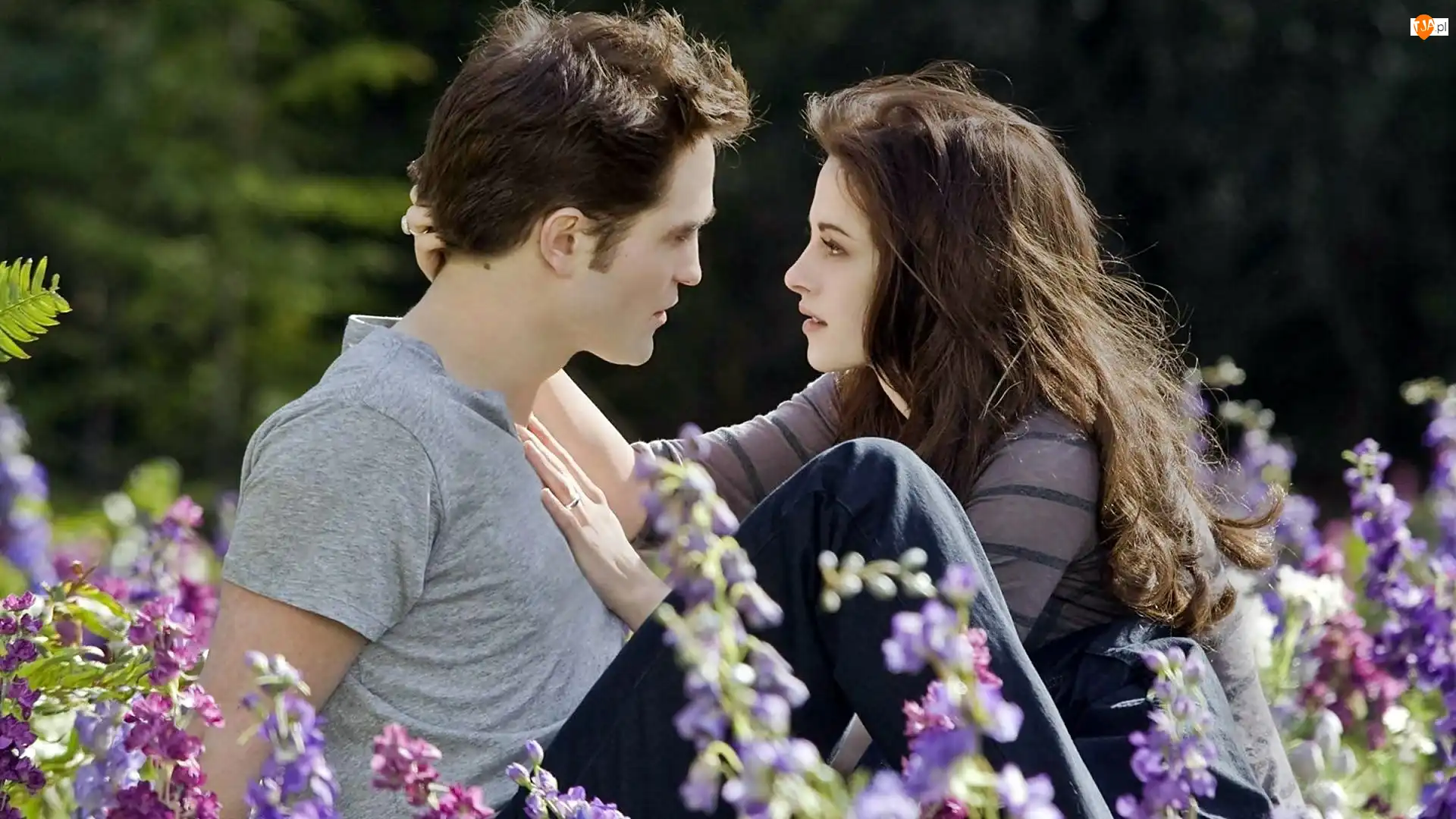 Kristen Stewart, Łąka, Kwiaty, Robert Pattinson