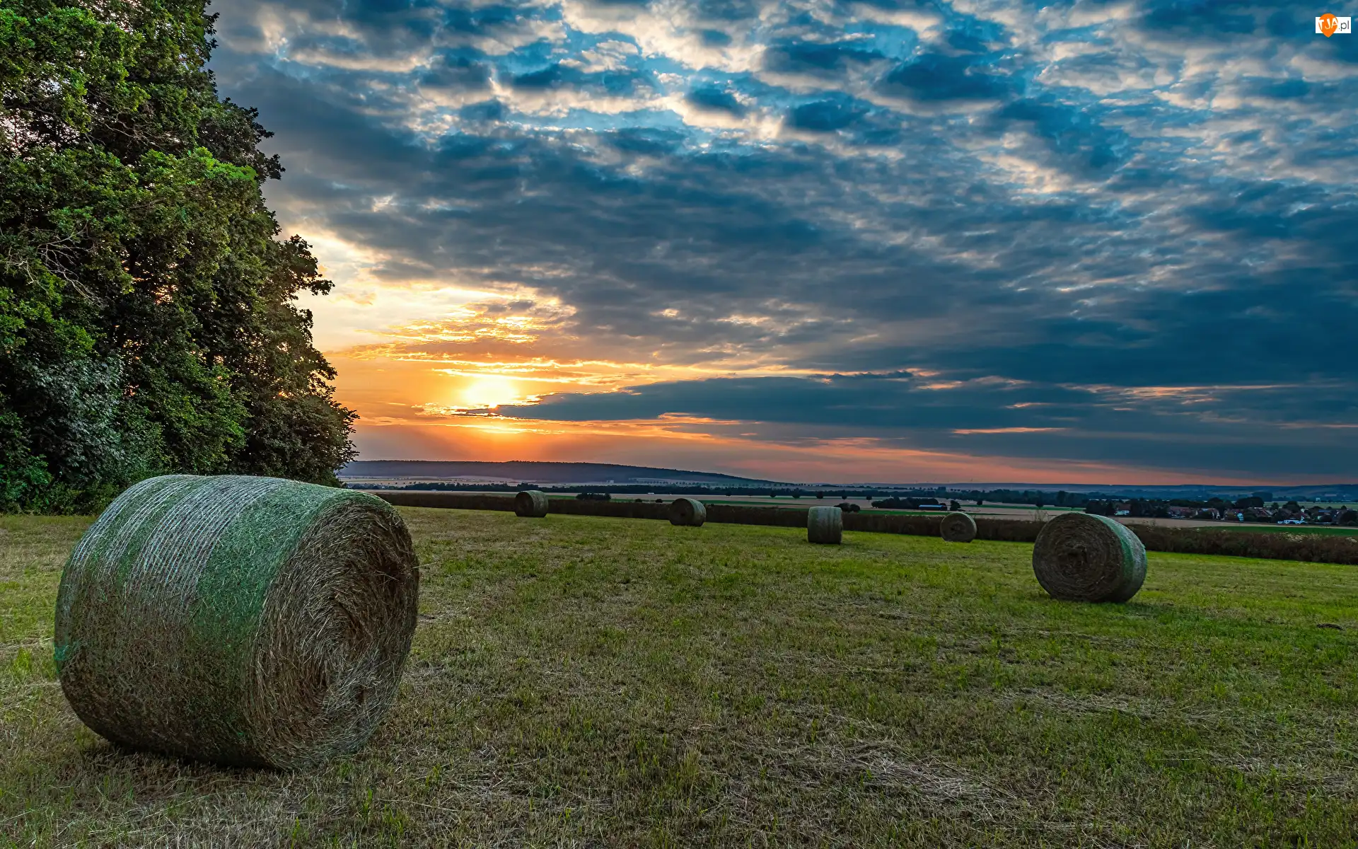 Bele, Pole, Drzewa, Chmury, Słomy, Zachód słońca