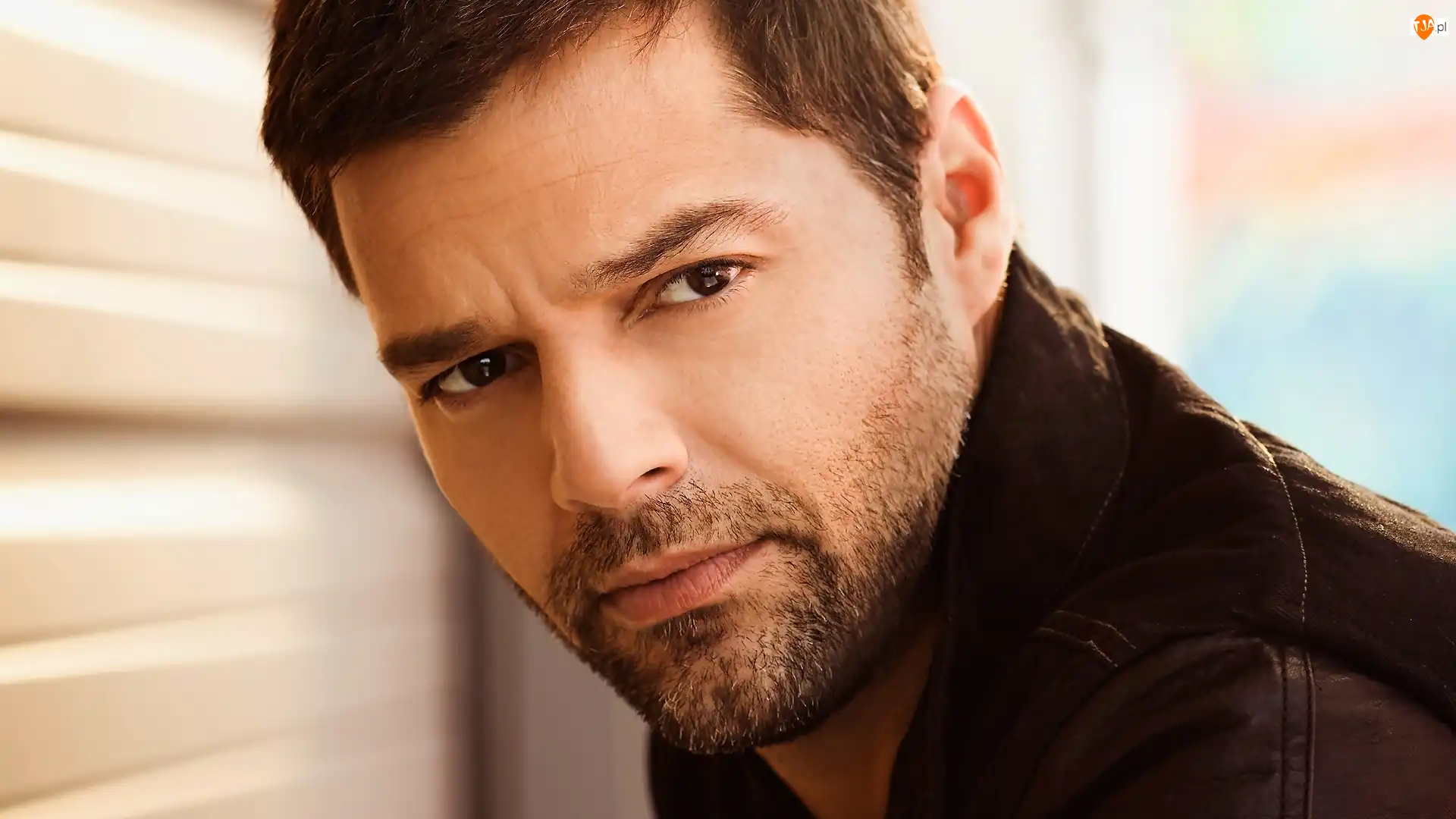 Piosenkarz, Ricky Martin