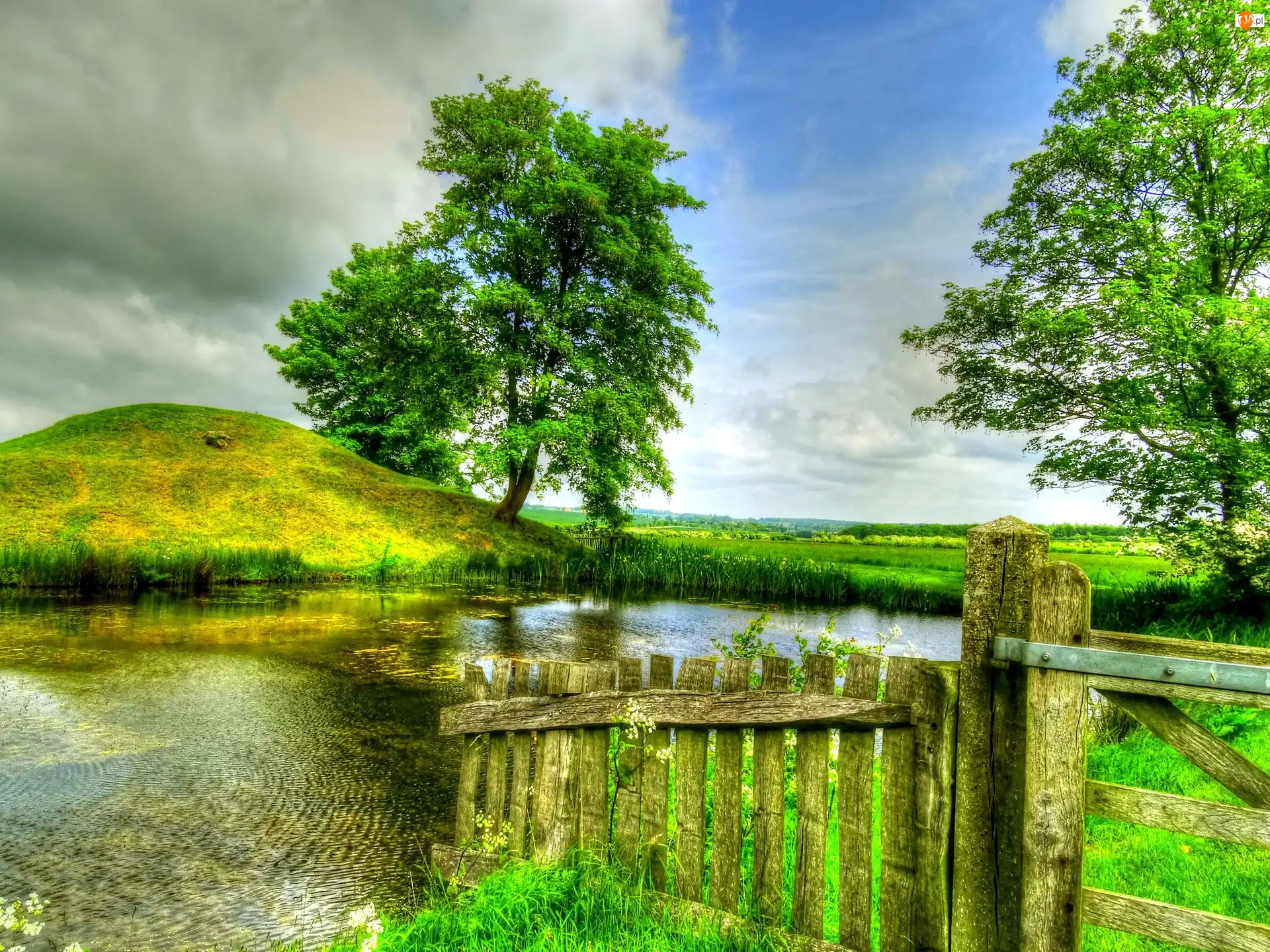 Drzewa, Jeziorko, Płotek, HDR, Wzgórek, Pole