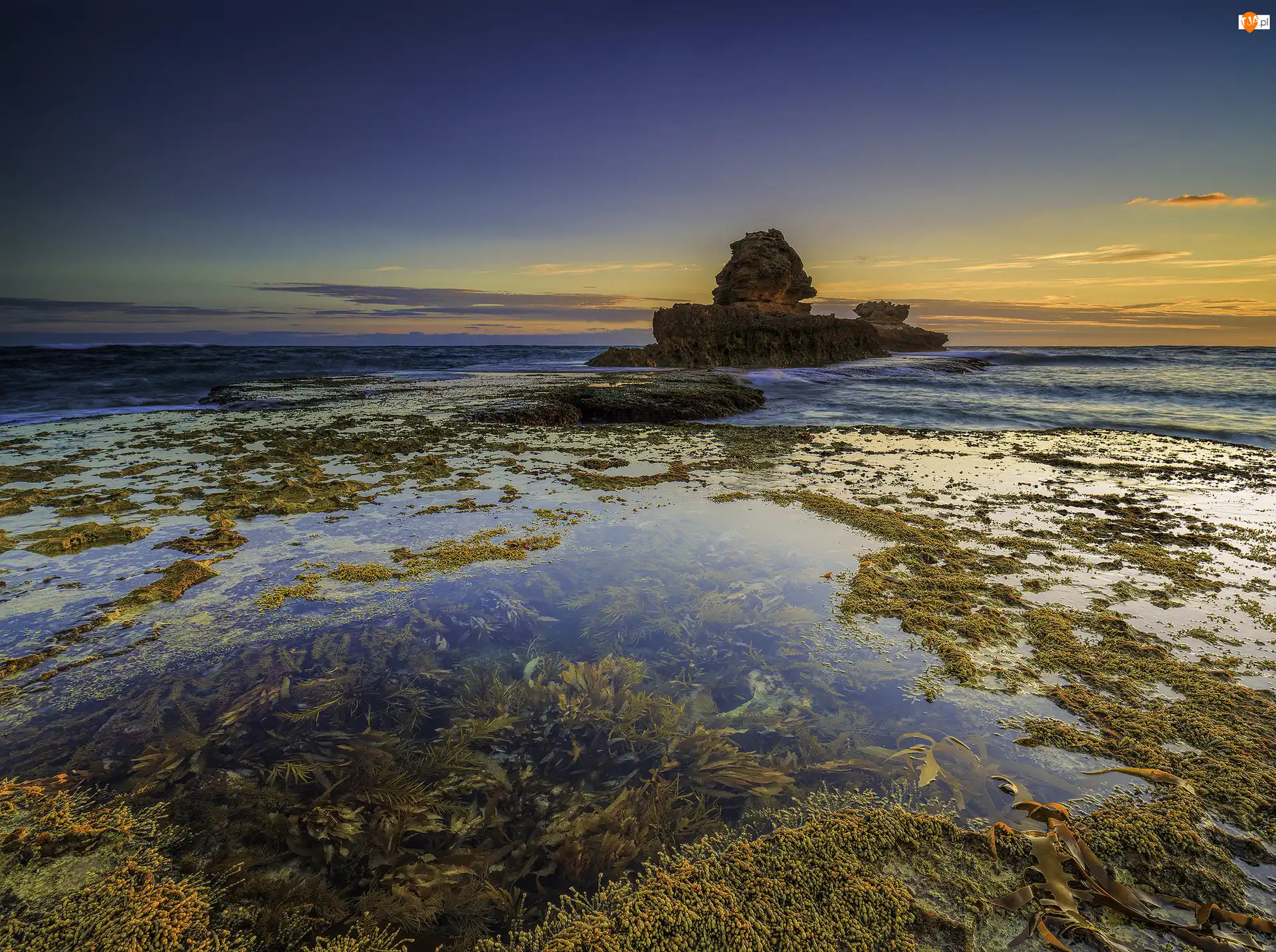 Sorrento, Park Narodowy Mornington Peninsula, Skały, Australia, Wodorosty, Morze, Zatoka Bay of Islands