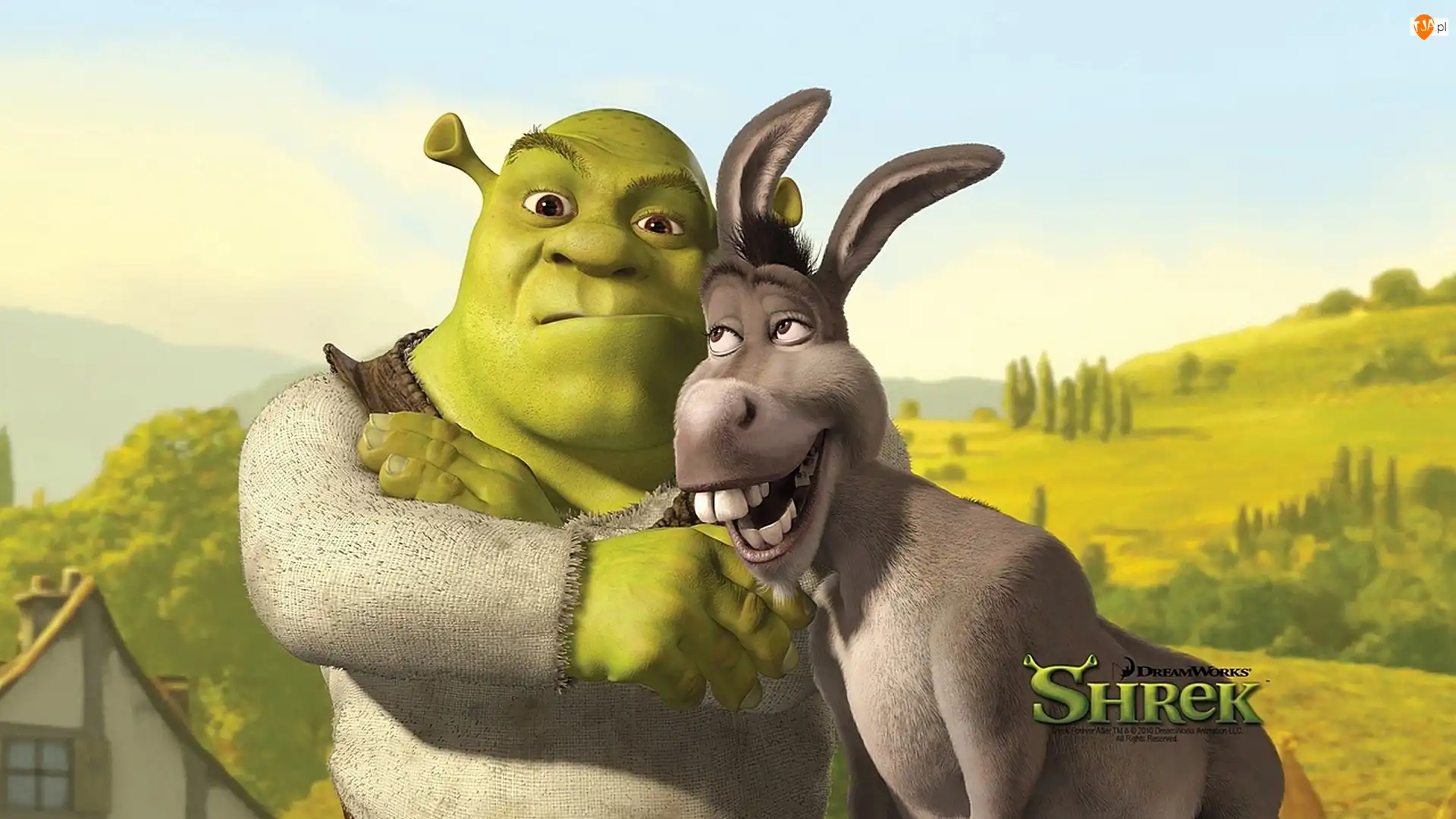 Osioł, Shrek