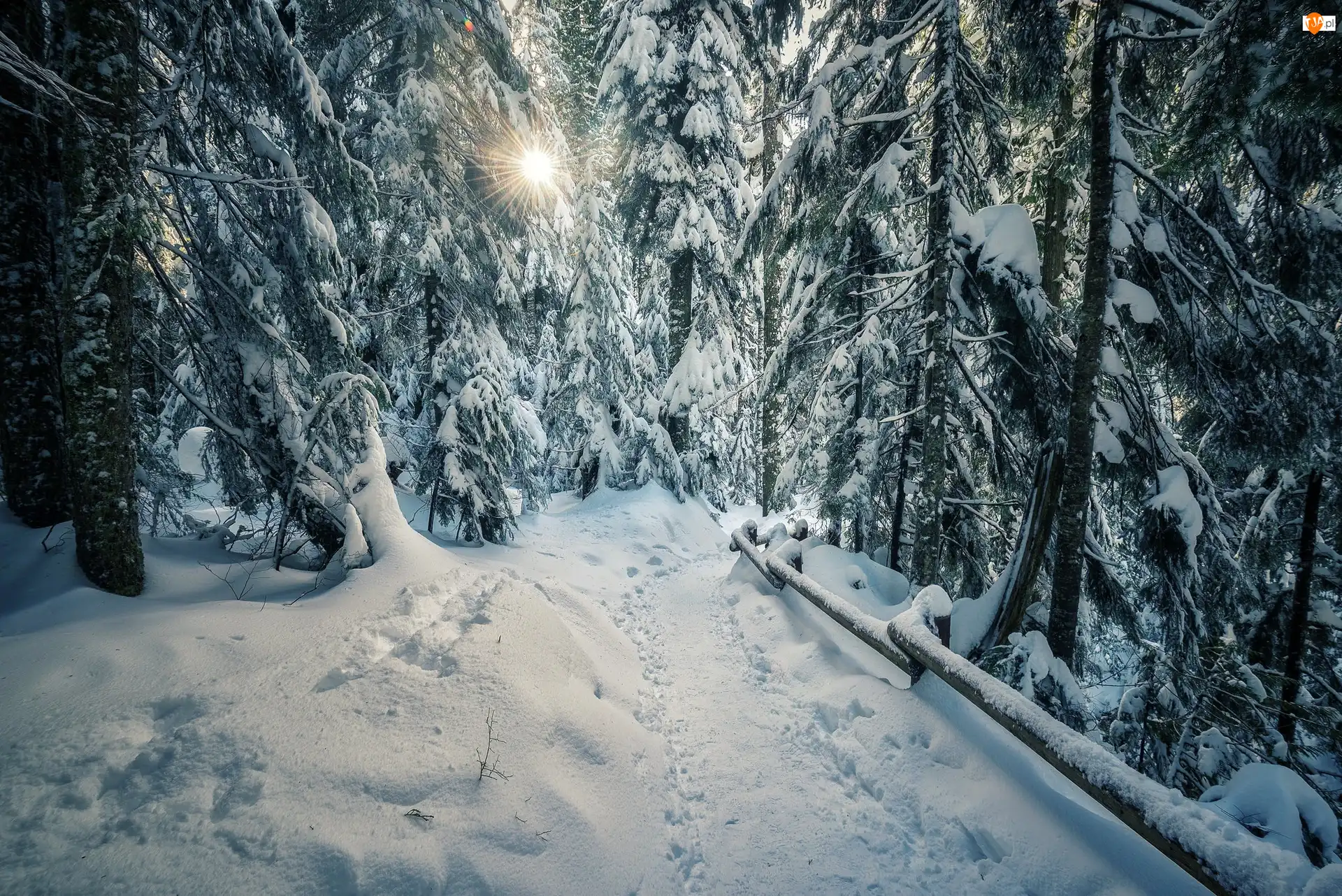 Drzewa, Zima, Śnieg, Ogrodzenie, Promienie słońca, Ścieżka