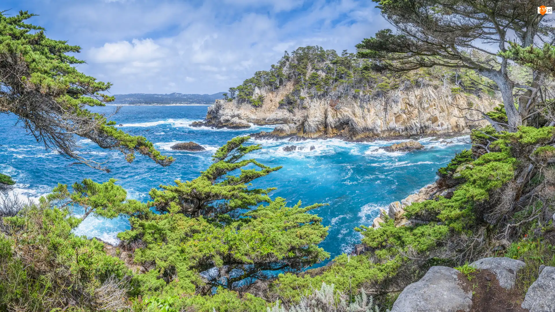 Point Lobos, Morze, Rośliny, Kalifornia, Skały, Rezerwat przyrody, Stany Zjednoczone, Drzewa