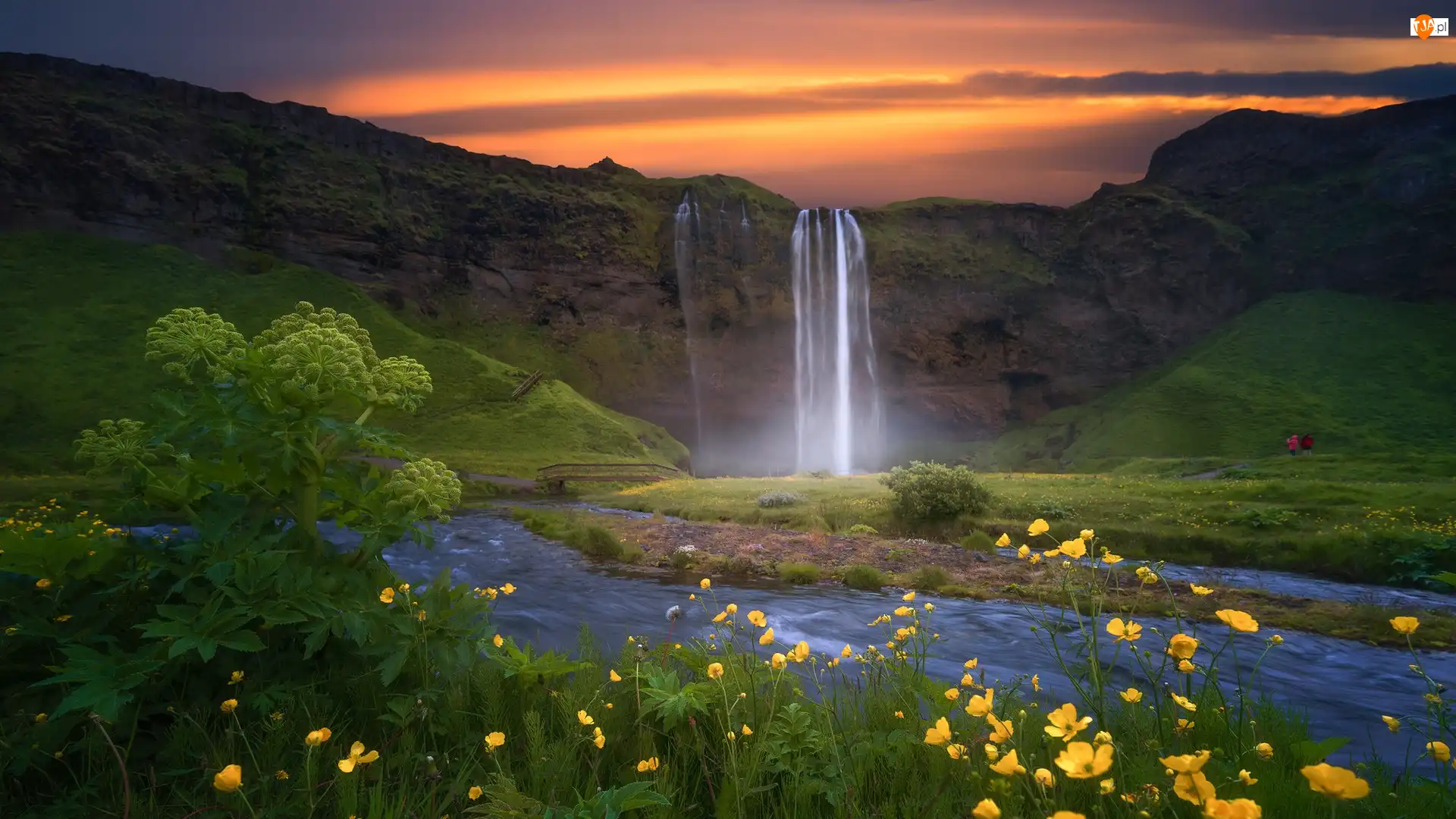 Skały, Rzeka Seljalandsa, Islandia, Wodospad Seljalandsfoss, Kwiaty, Żółte, Niebo
