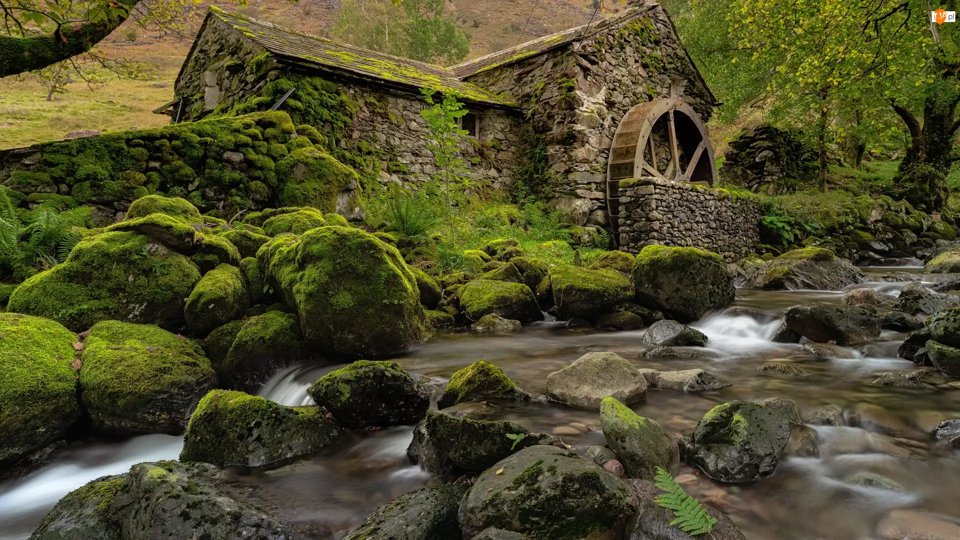 Młyn wodny, Omszałe, Anglia, Rzeka, Cumbria, Borrowdale, Kamienie