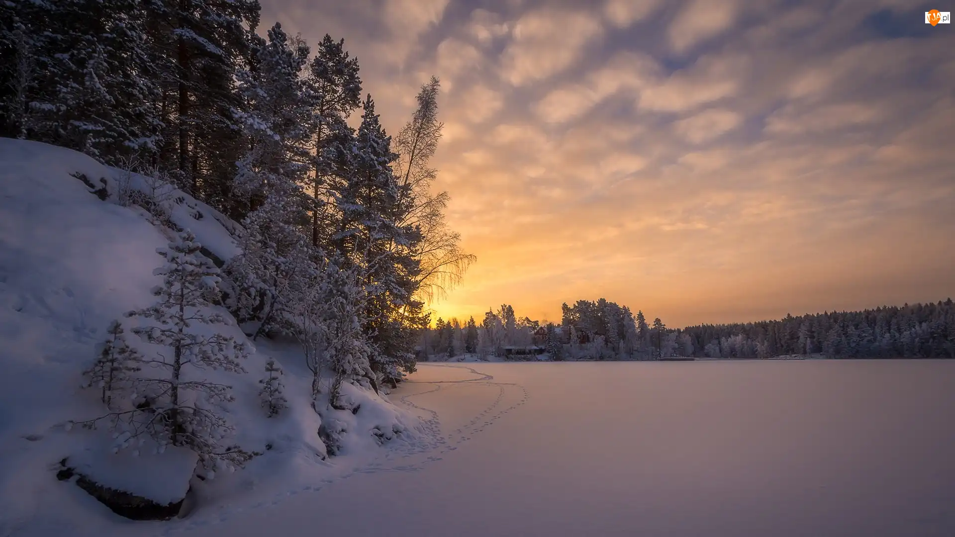 Zima, Tampere, Wschód słońca, Domy, Las, Finlandia, Zamarznięte, Świt, Rejon Pirkanmaa, Jezioro Näsijärvi, Ślady, Drzewa