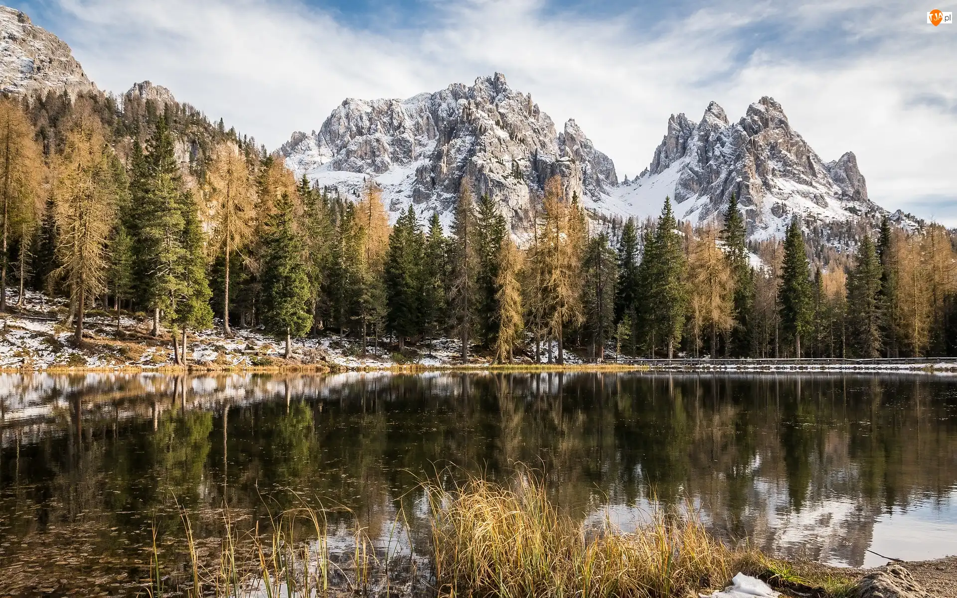 Drzewa, Jezioro, Dolomity, Prowincja Belluno, Antorno Lake, Masyw Tre Cime di Lavaredo, Włochy, Góry