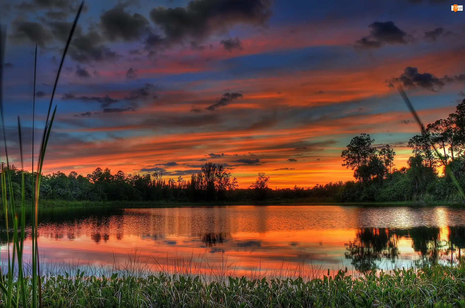 Drzewa, Zachód, Słońca, Jezioro