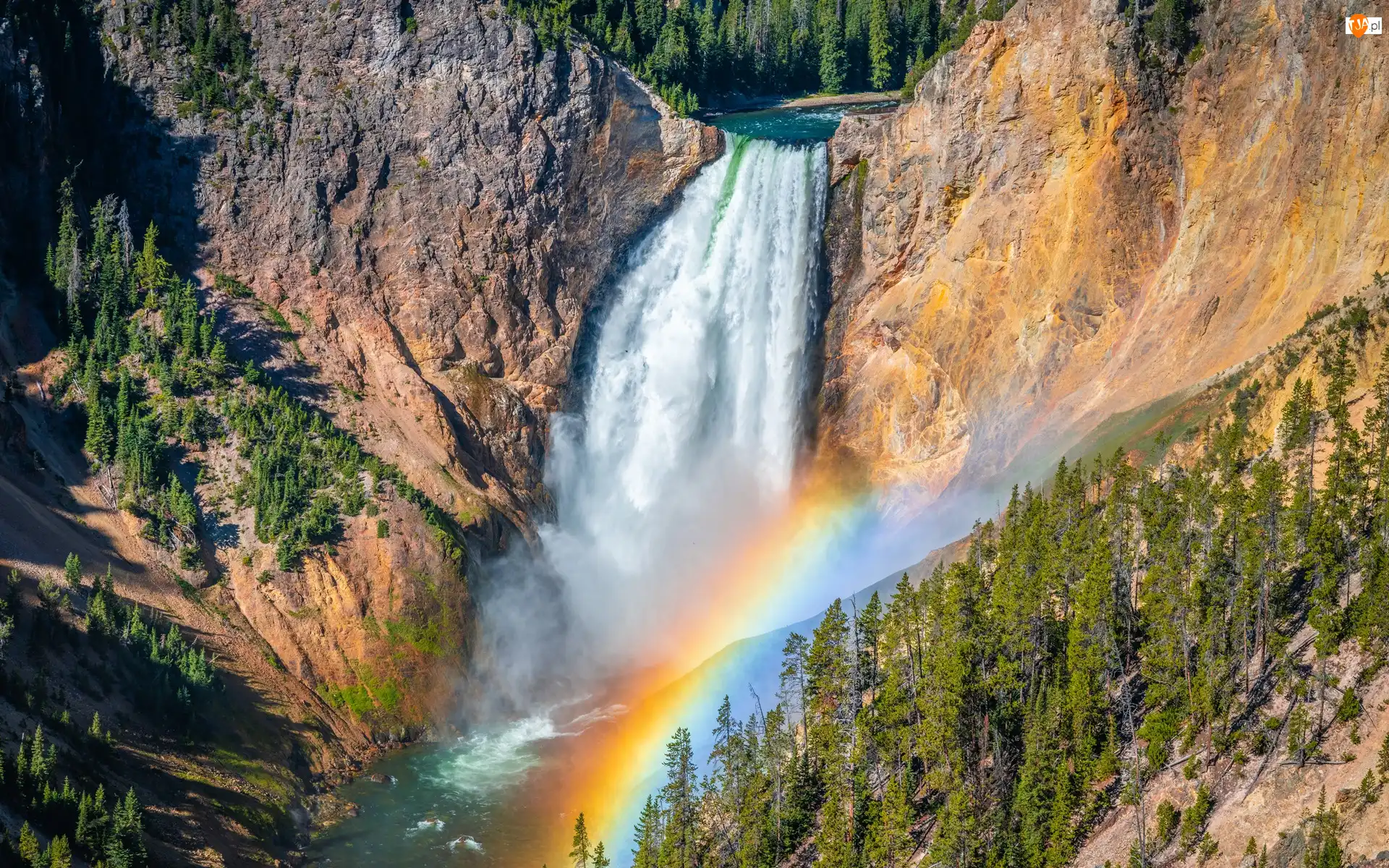 Stany Zjednoczone, Drzewa, Tęcza, Park Narodowy Yellowstone, Górny, Skały, Upper Yellowstone River Falls, Wodospad, Rzeka Yellowstone, Stan Wyoming