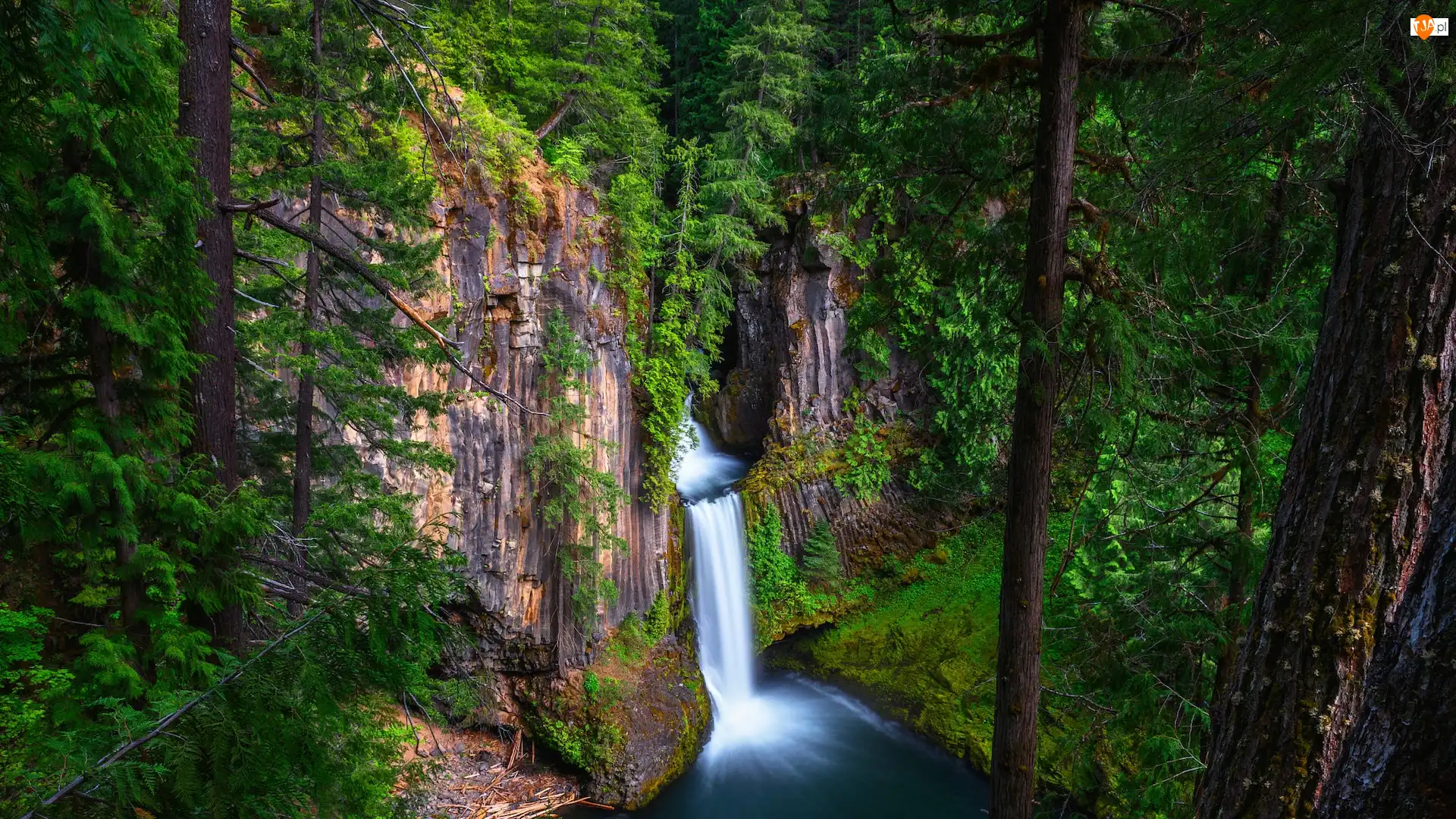 Oregon, Skała, Drzewa, Stany Zjednoczone, Las, Toketee Falls, Wodospad