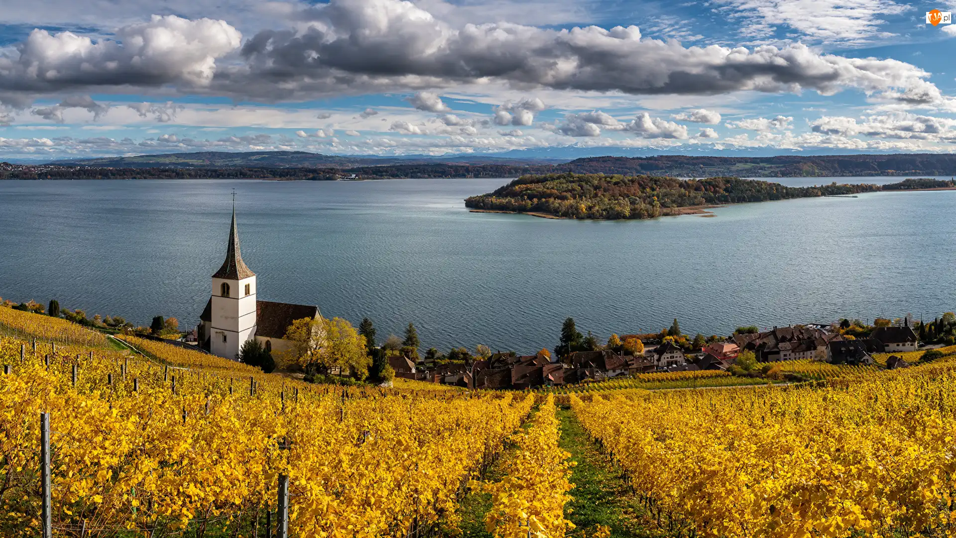 Kanton Berno, Gmina Ligerz, Winnica, Szwajcaria, Kościół, Bielersee, Jezioro