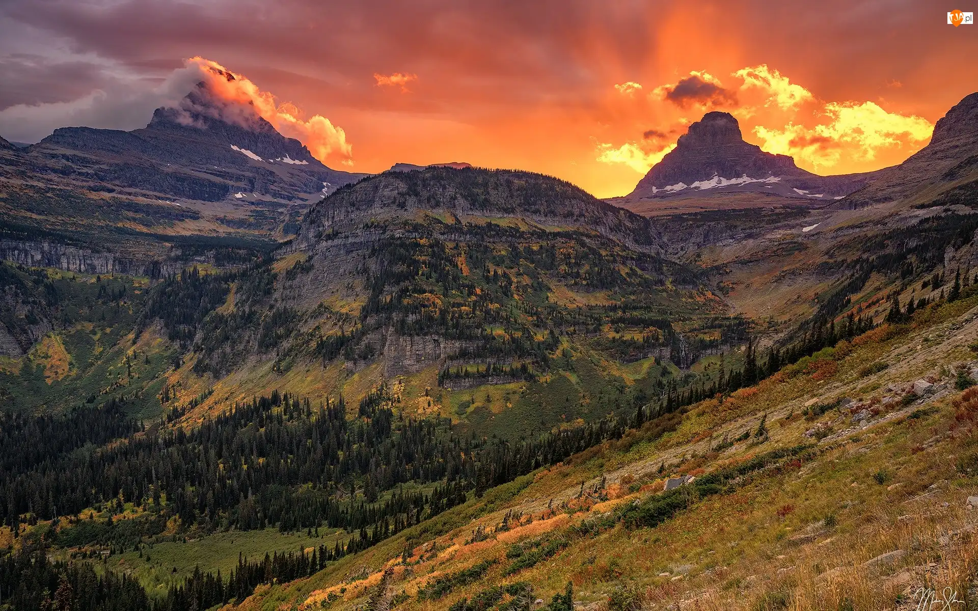 Góry, Park Narodowy Glacier, Zachód słońca, Stany Zjednoczone, Drzewa, Montana