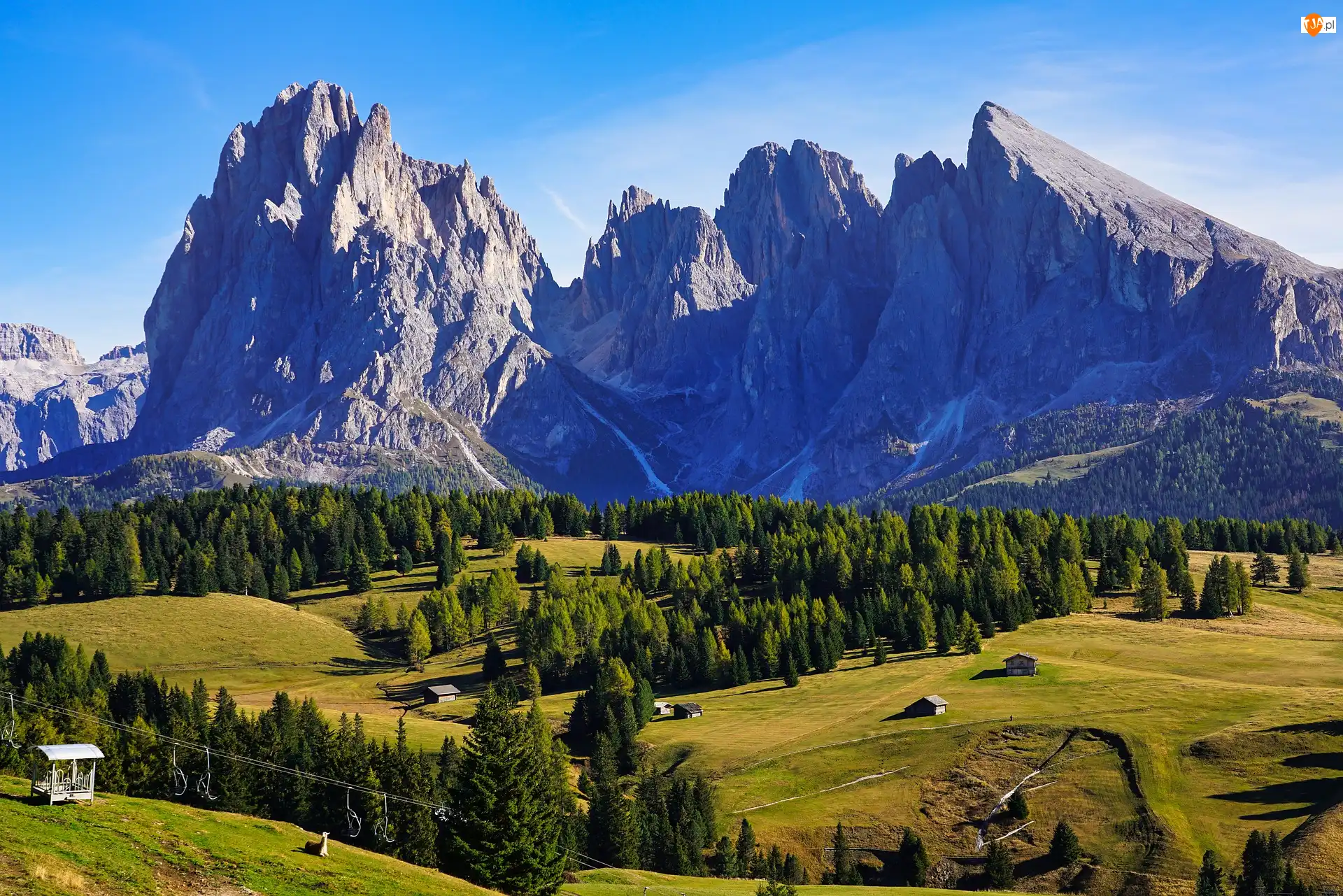 Seiser Alm, Włochy, Dolomity, Domy, Góry, Płaskowyż, Drzewa, Sassolungo