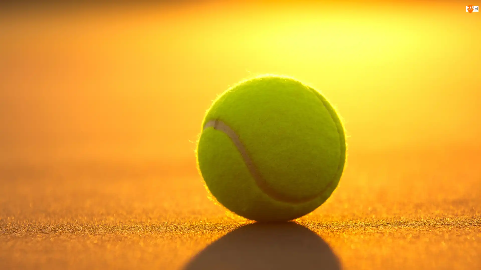 Tenis, Piłka