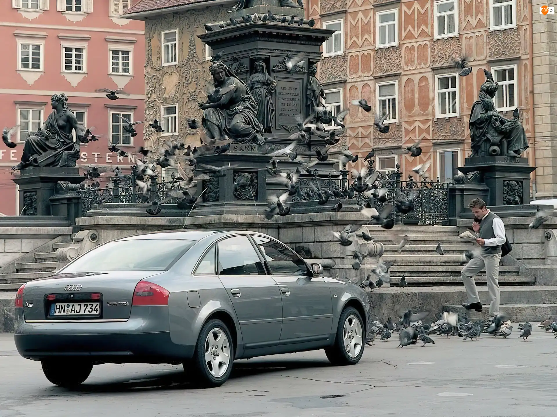 gołębie, Audi A6, Pomnik
