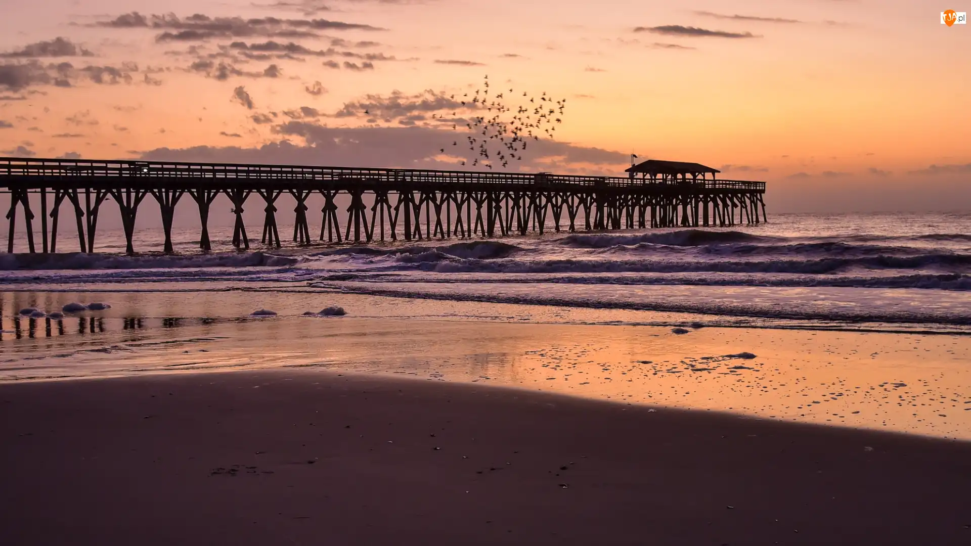 Myrtle Beach State Park, Morze, Wschód słońca, Karolina Południowa, Molo, Plaża, Stany Zjednoczone, Ptaki