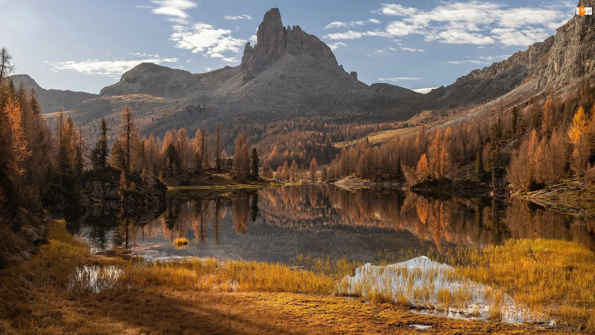 Alpy, Lago Federa, Żółta, Brązowe, Góry, Trawa, Jezioro, Jesień, Drzewa, Dolomity, Włochy