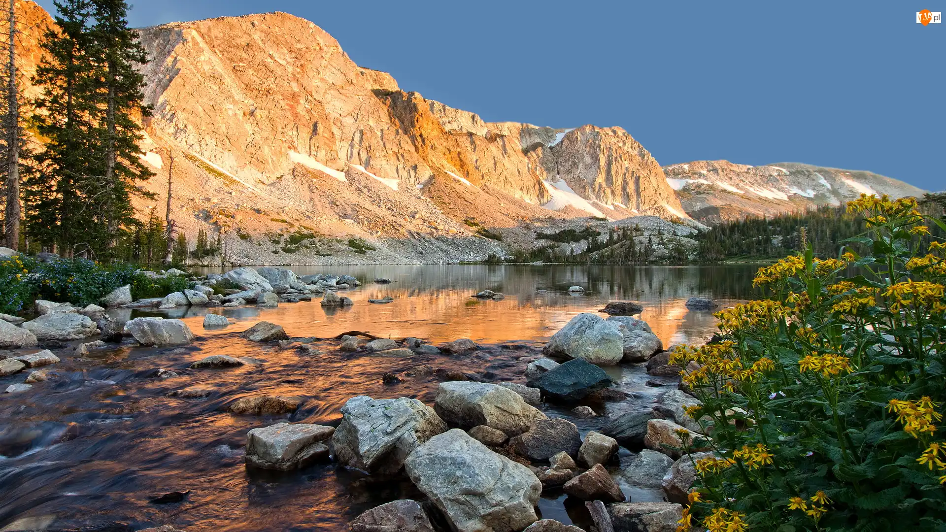 Stany Zjednoczone, Medicine Bow Range, Wyoming, Jezioro, Lake Marie, Drzewa, Kamienie, Góry, Kwiaty