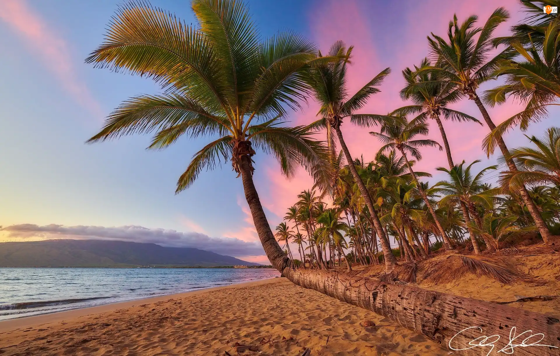 Wyspa Maui, Wybrzeże, Plaża, Hawaje, Zachód słońca, Palmy, Morze