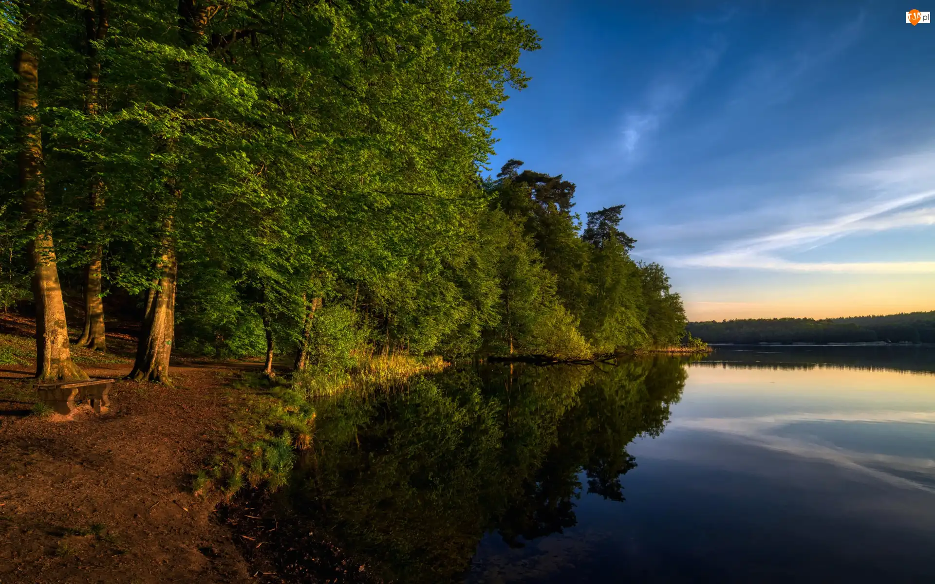 Ławka, Zachód słońca, Drzewa, Zielone, Jezioro