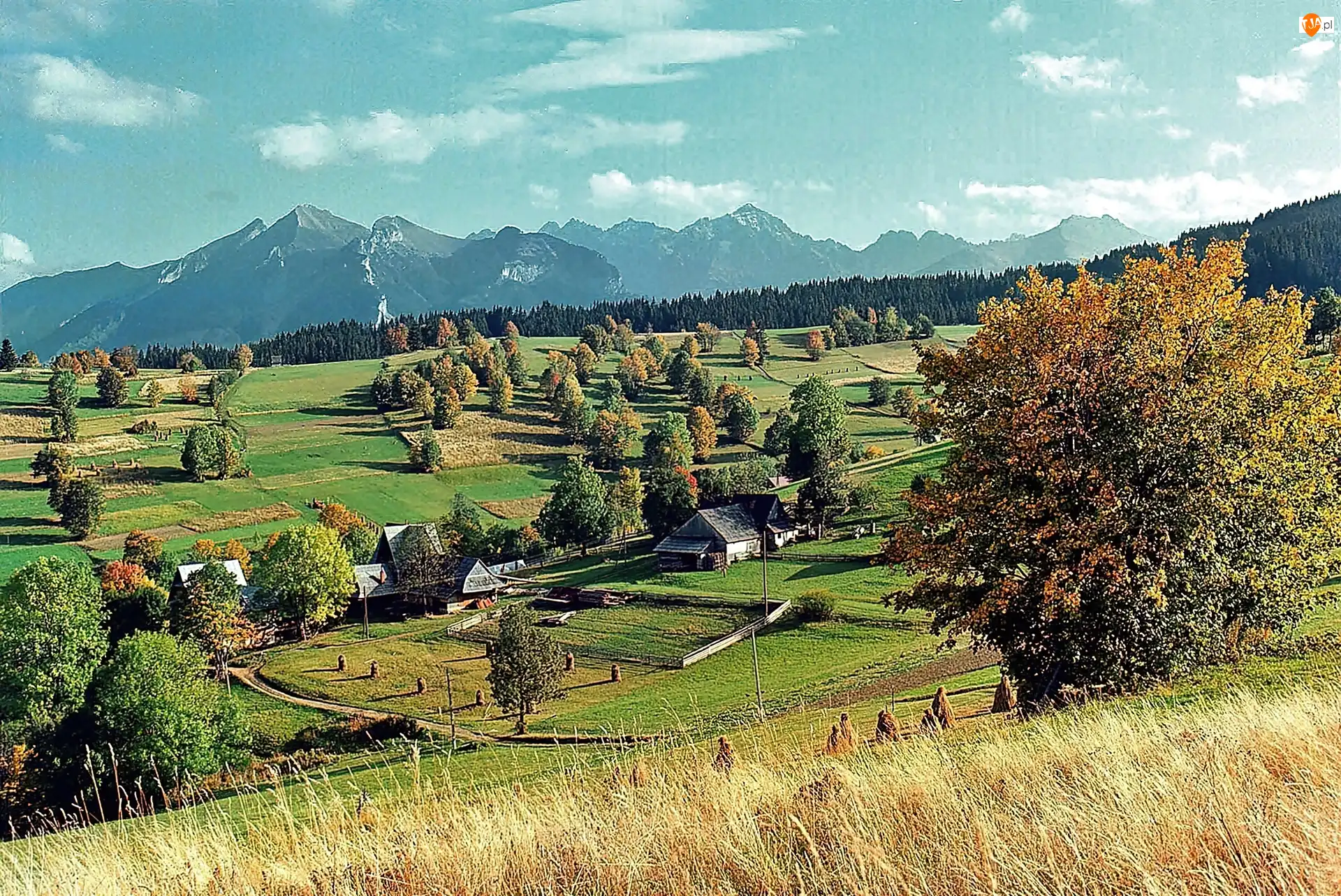 Wieś, Tatry, Lasy, Pola