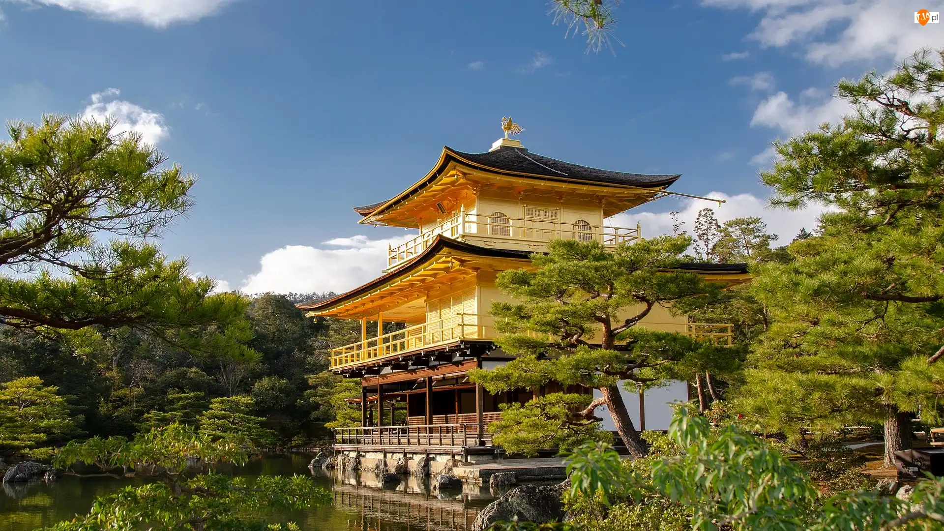 Rokuon-ji, Złoty Pawilon, Japonia, Świątynia Kinkaku-ji, Kioto, Staw Kyko chi, Drzewa