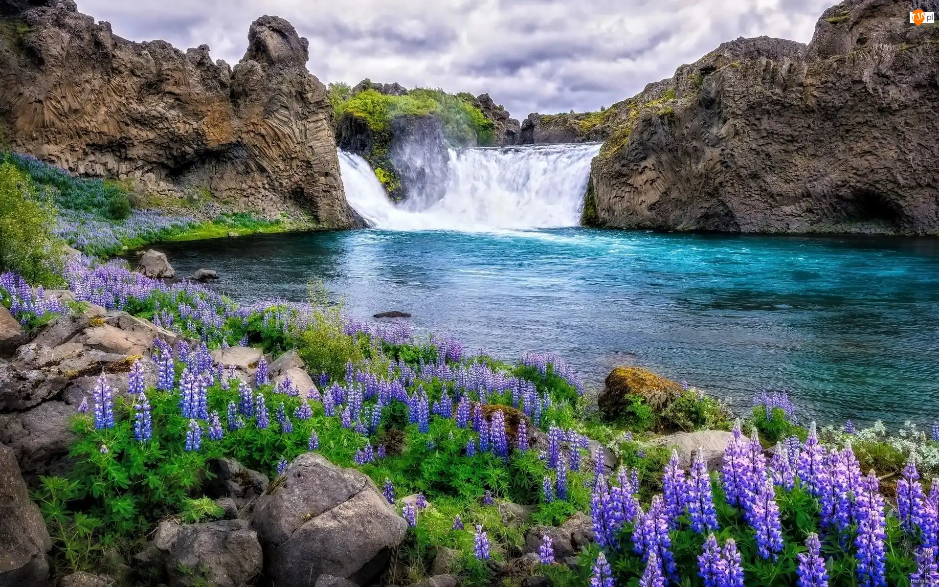 Islandia, Skały, Chmury, Łubiny, Niebo, Rzeka, Kamienie, Wodospad Hjalparfoss, Kwiaty