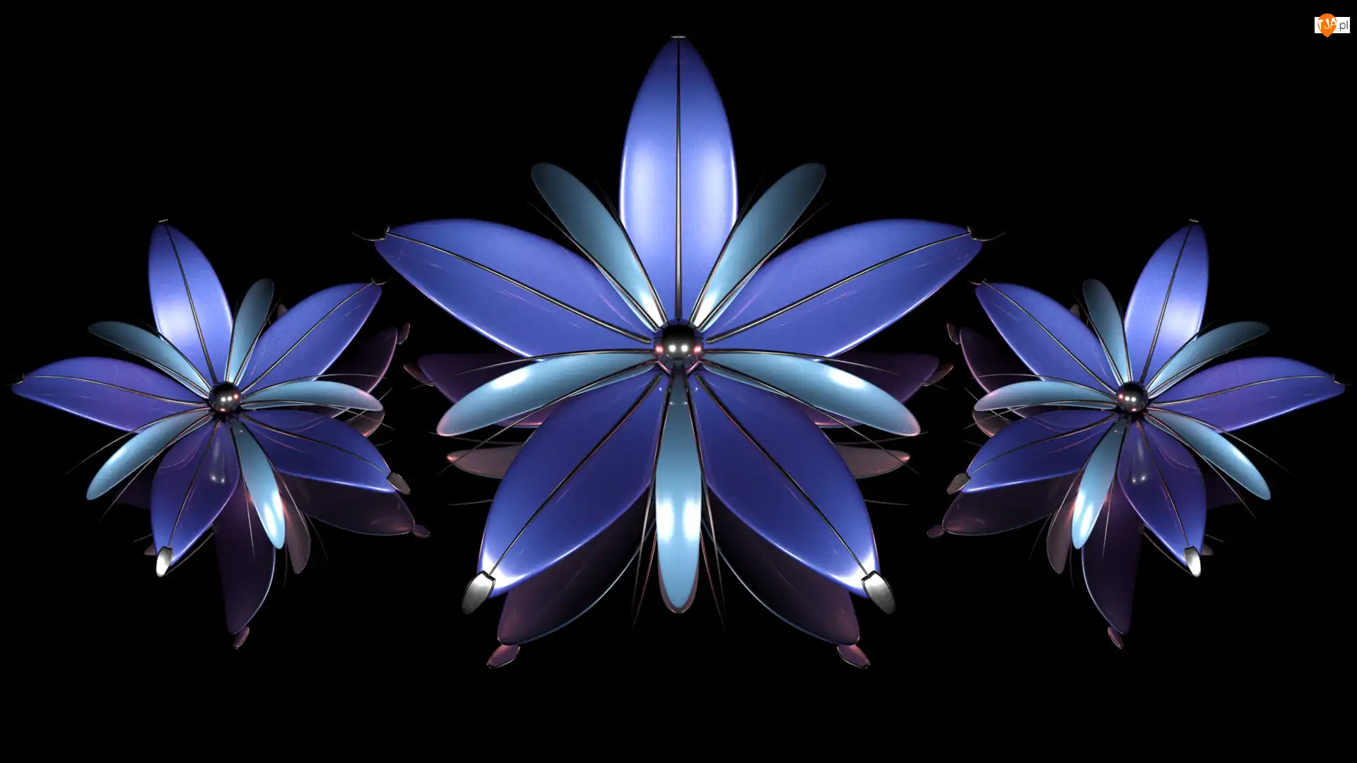 Kwiaty, Grafika 3D, Trzy, Niebieskie