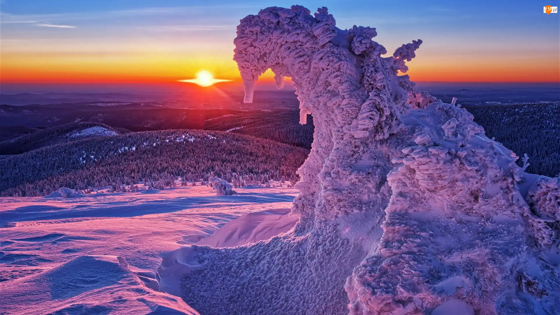 Ośnieżone Drzewo, Zima, Zachód słońca, Śnieg