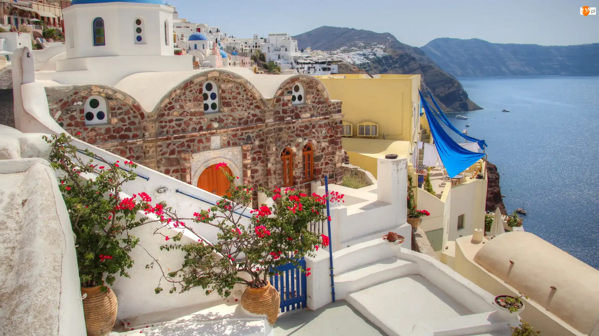 Morze Egejskie, Kwiaty, Santorini, Grecja, Domy