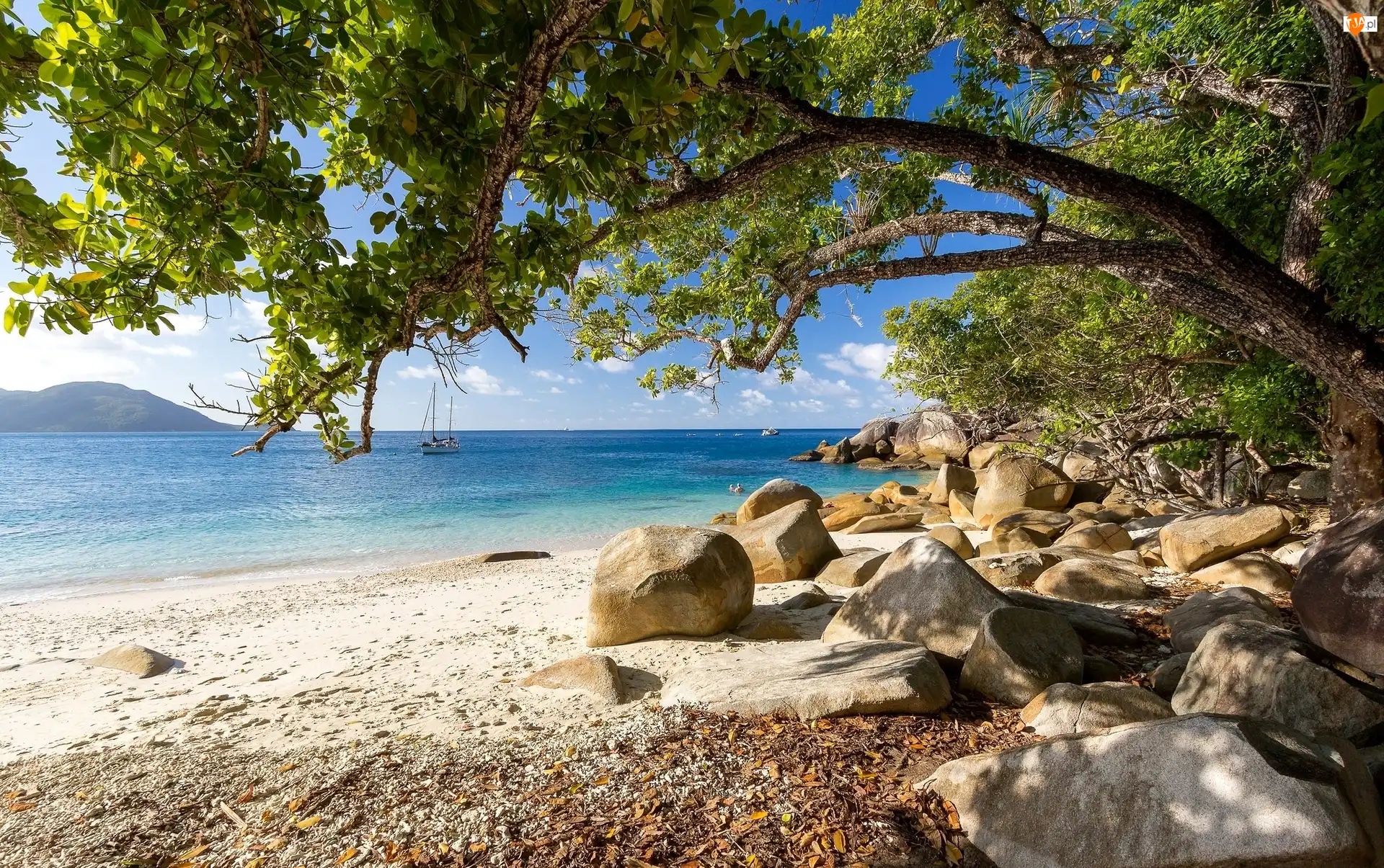 Kamienie, Australia, Morze Koralowe, Drzewa, Stan Queensland, Plaża, Żaglówka, Wyspa Fitzroy