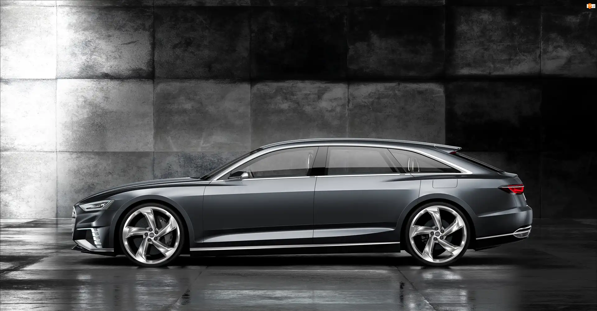 Bok, Audi, Prologue, Avant