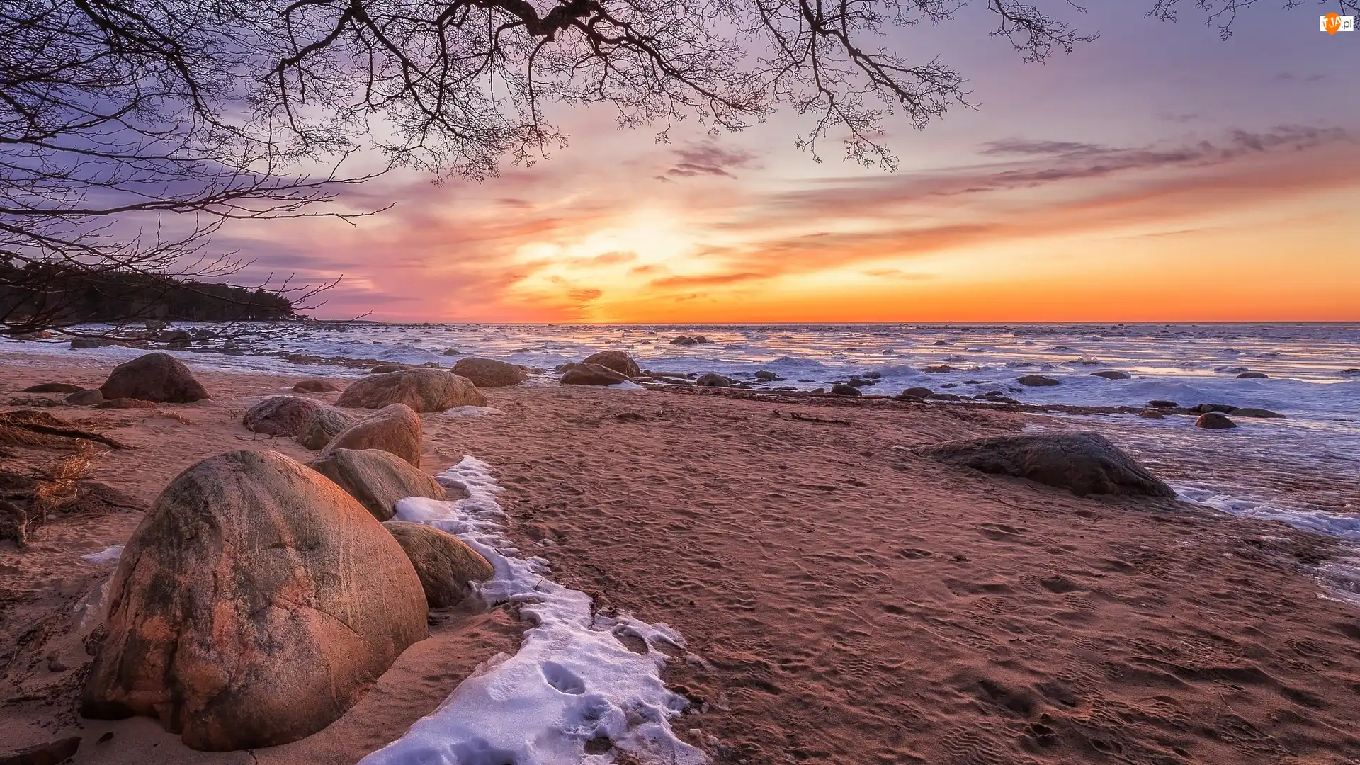Wschód słońca, Kamienie, Plaża, Morze, Gałęzie