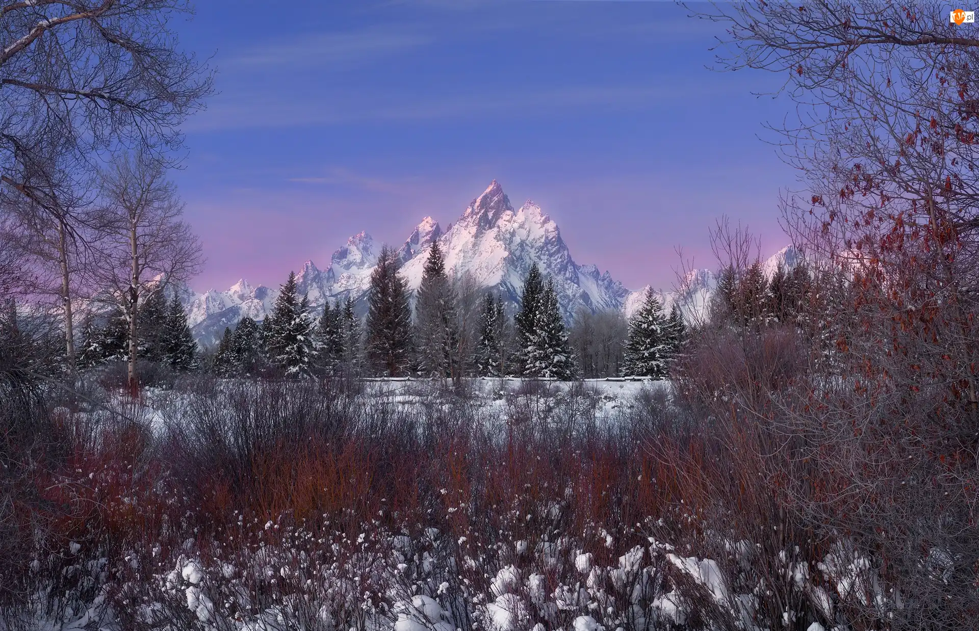 Góry, Zima, Park Narodowy Grand Teton, Stany Zjednoczone, Drzewa, Wyoming