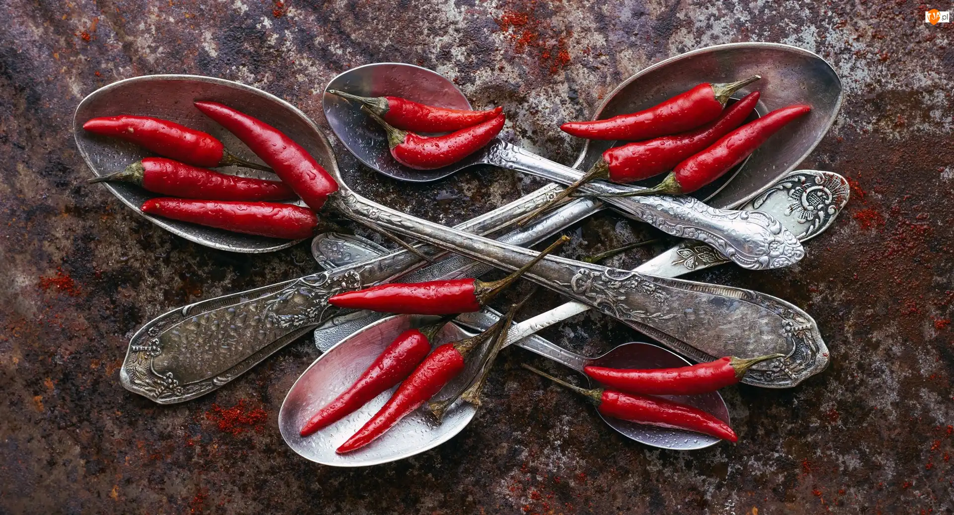 Chili, Łyżki, Papryczki, Warzywa, Srebrne