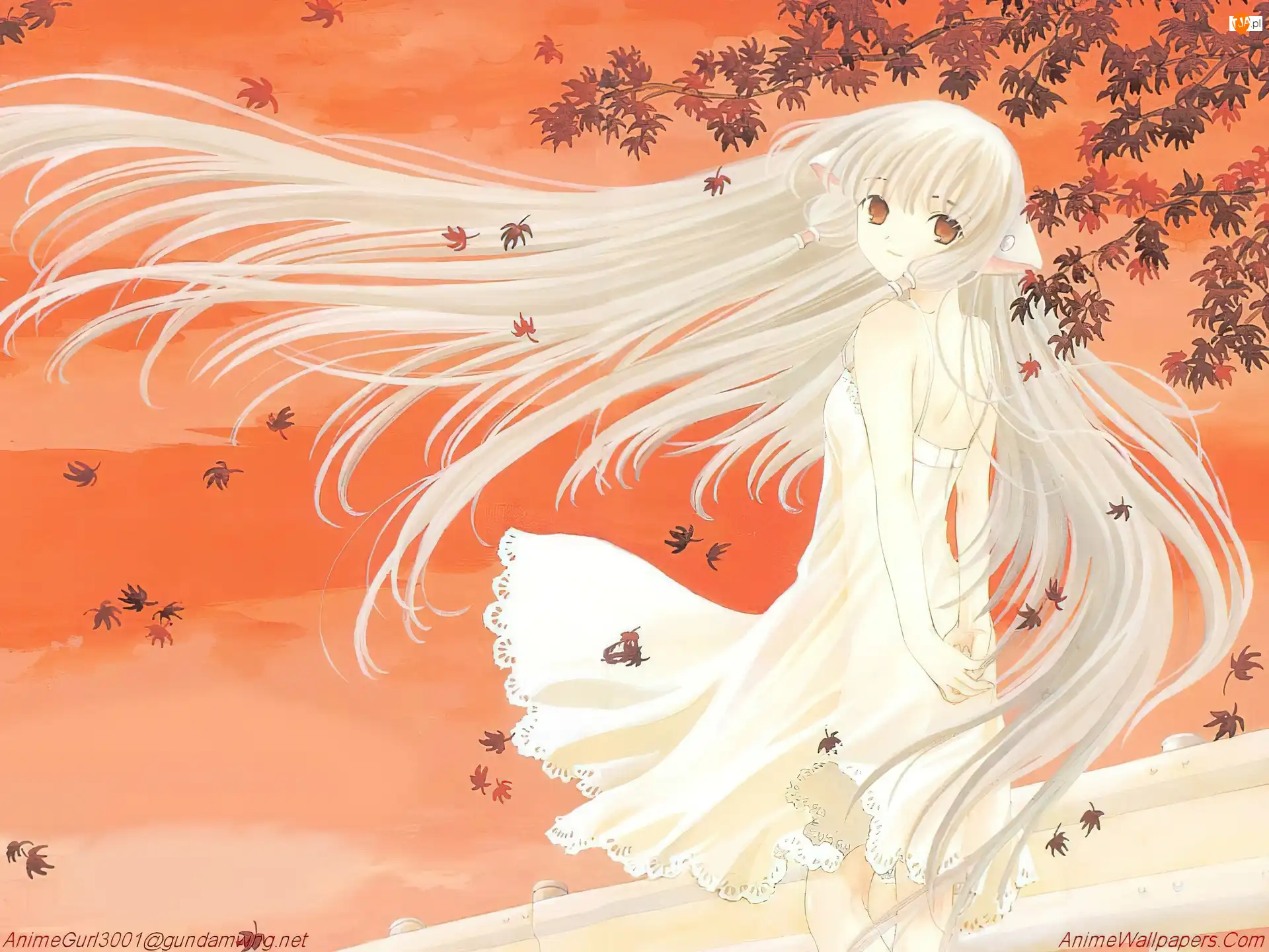 Chobits, kobieta, włosy, liście