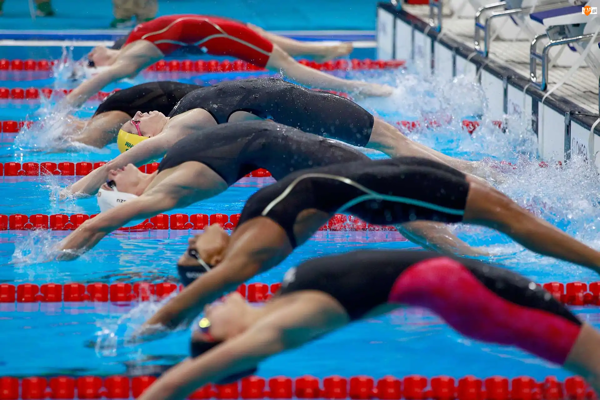 Pływanie, Sportowcy, Zawody, Basen