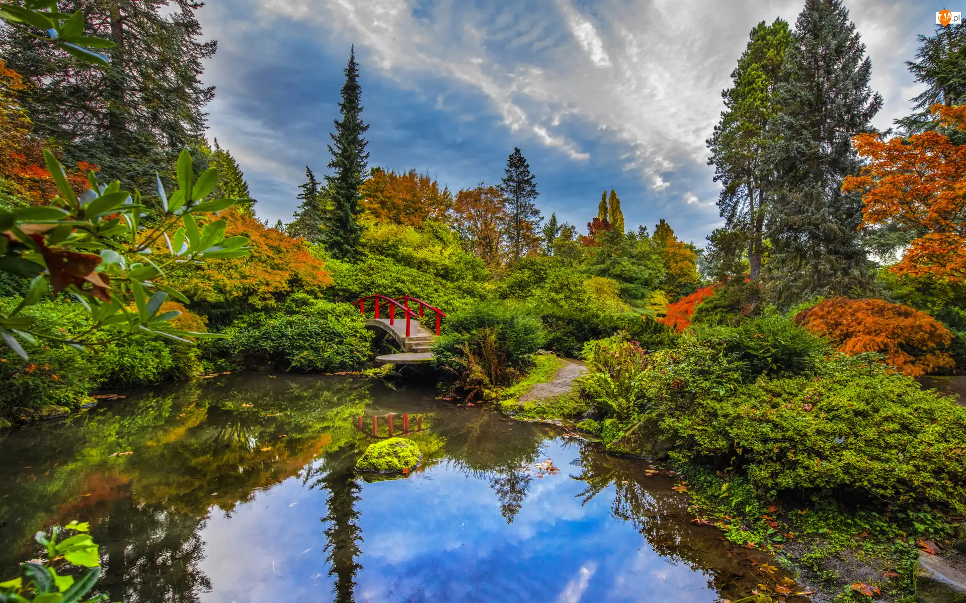Stany Zjednoczone, Czerwony, Stan Waszyngton, Kubota Garden, Seattle, Mostek, Staw, Ogród, Krzewy