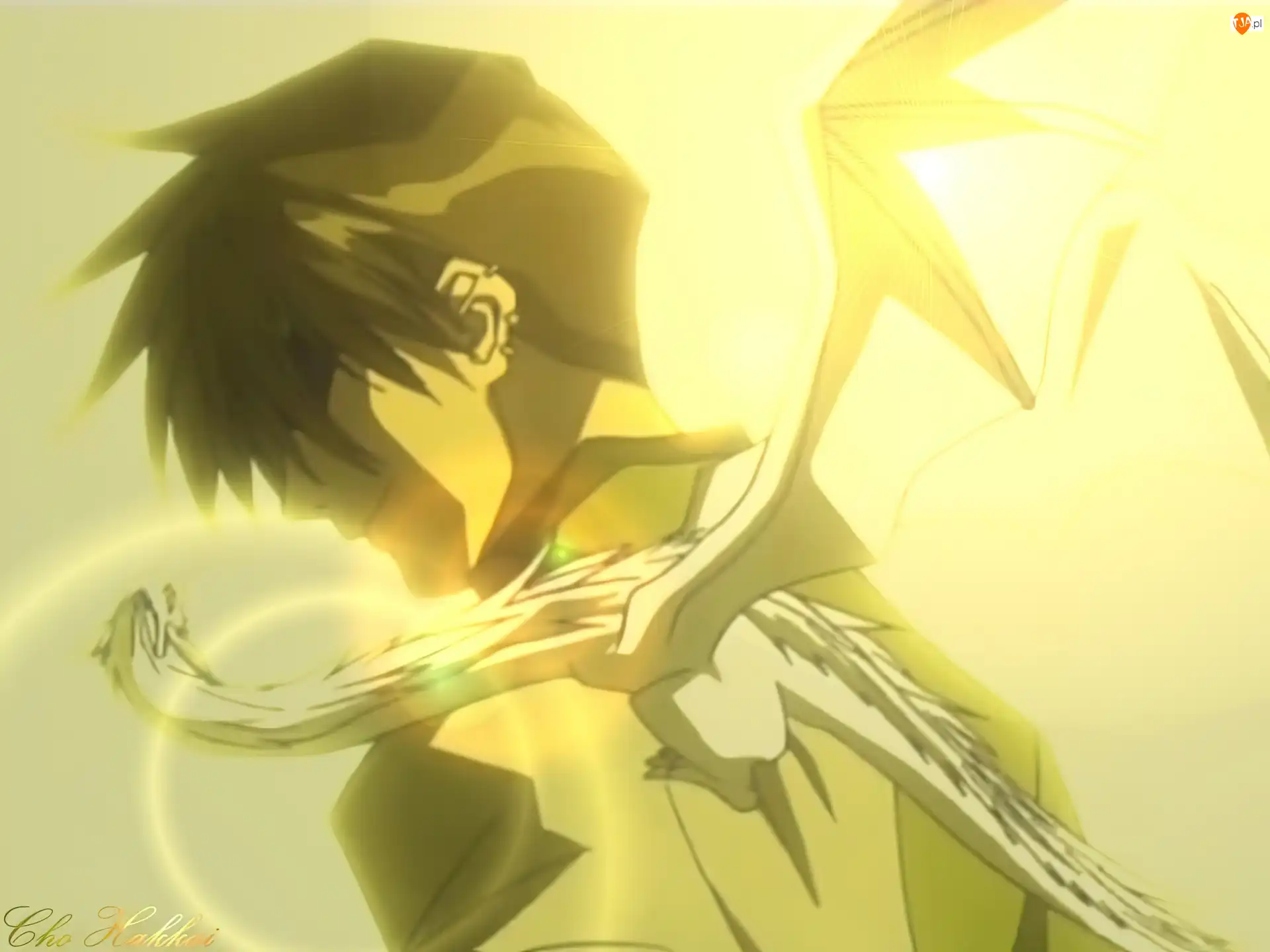 słoneczny refleks, Saiyuki