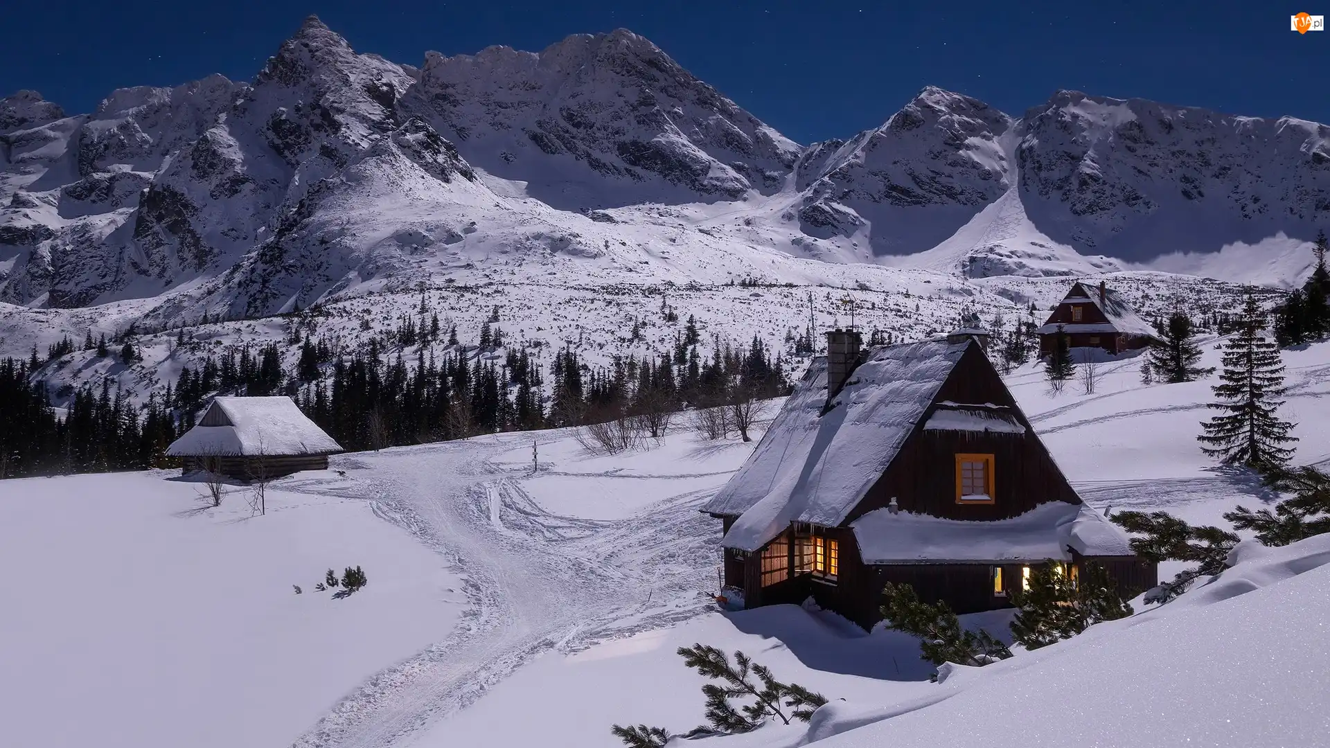 Góry, Tatry, Drzewa, Polska, Domy, Zima, Dolina Zielona Gąsienicowa