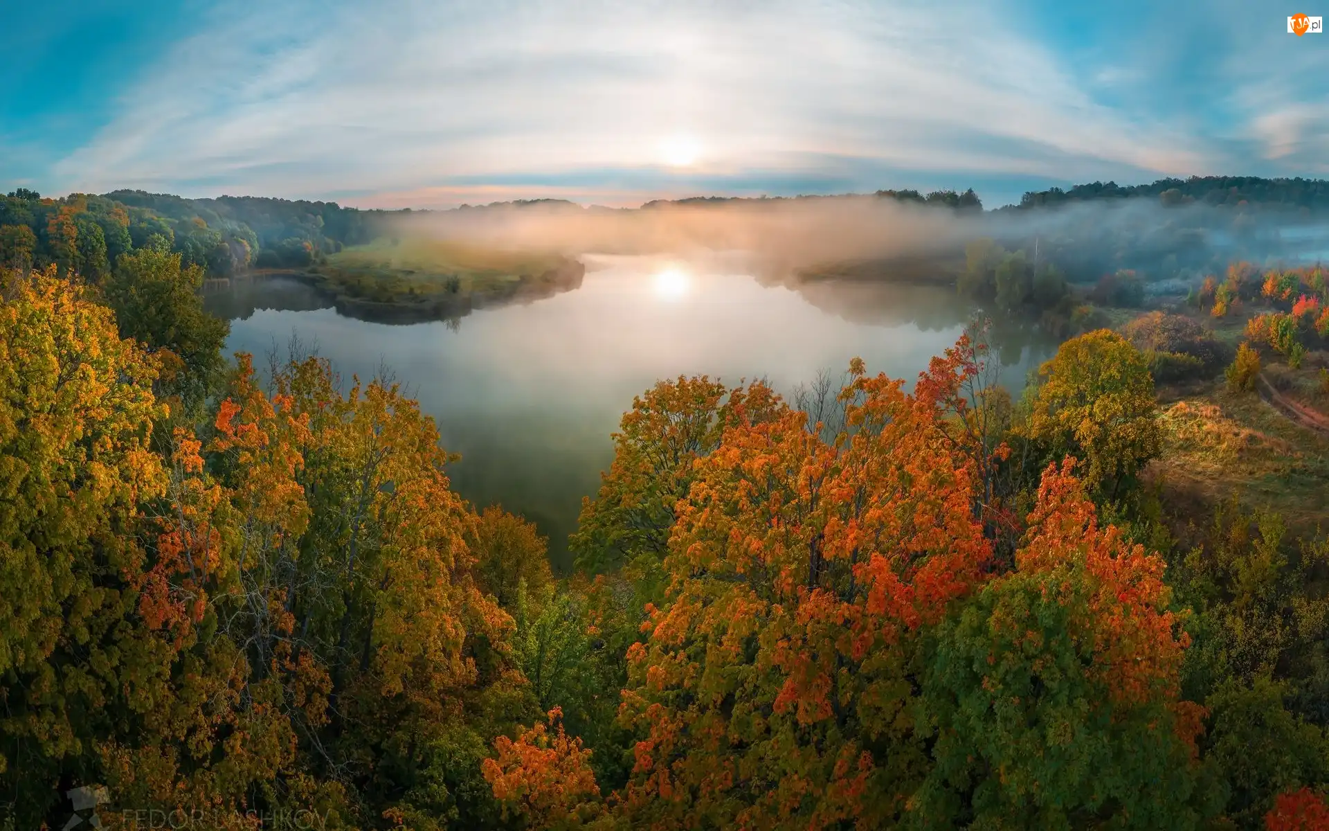 Drzewa, Mgła, Las, Jezioro, Jesień
