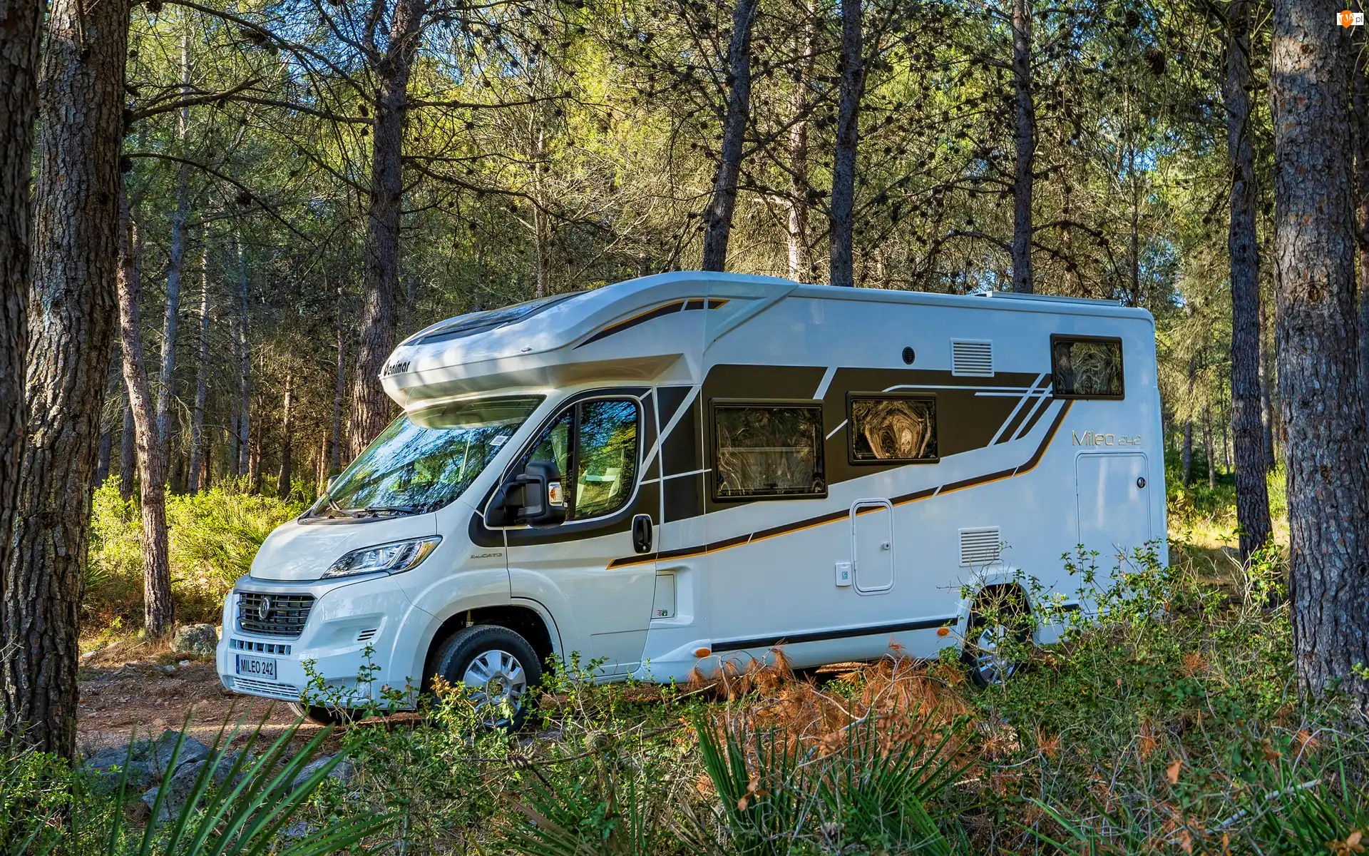 Las, Benimar Mileo 242, Kamper