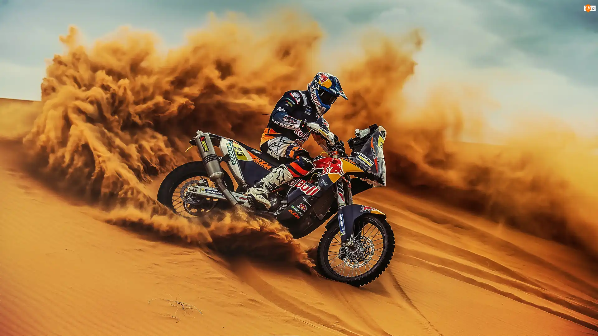 KTM 450 Rally, Rajd Dakar 2017, Motocykl, Motocyklista, Zespół Red Bull KTM Factory