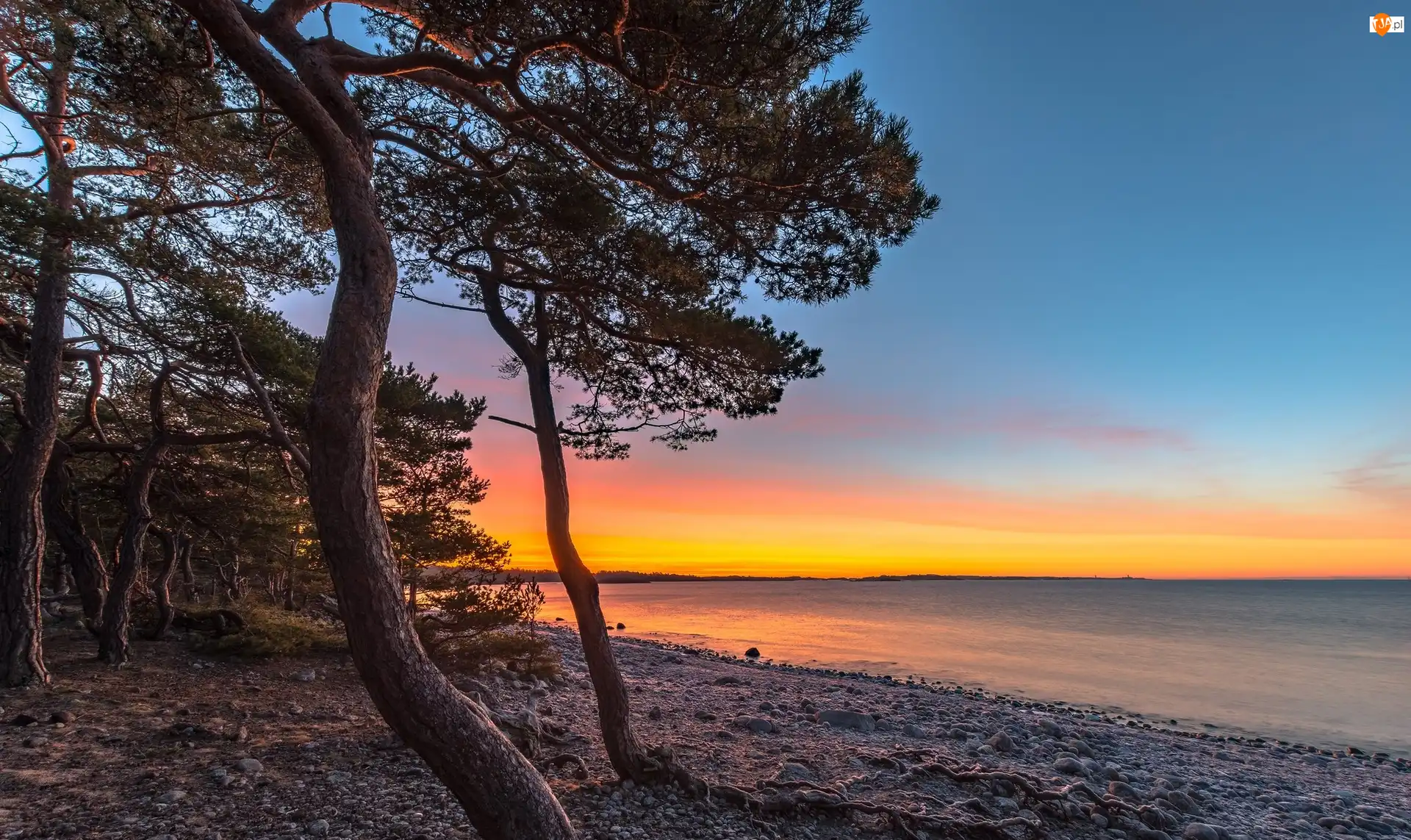 Morze, Zachód słońca, Brzeg, Drzewa, Kamienie