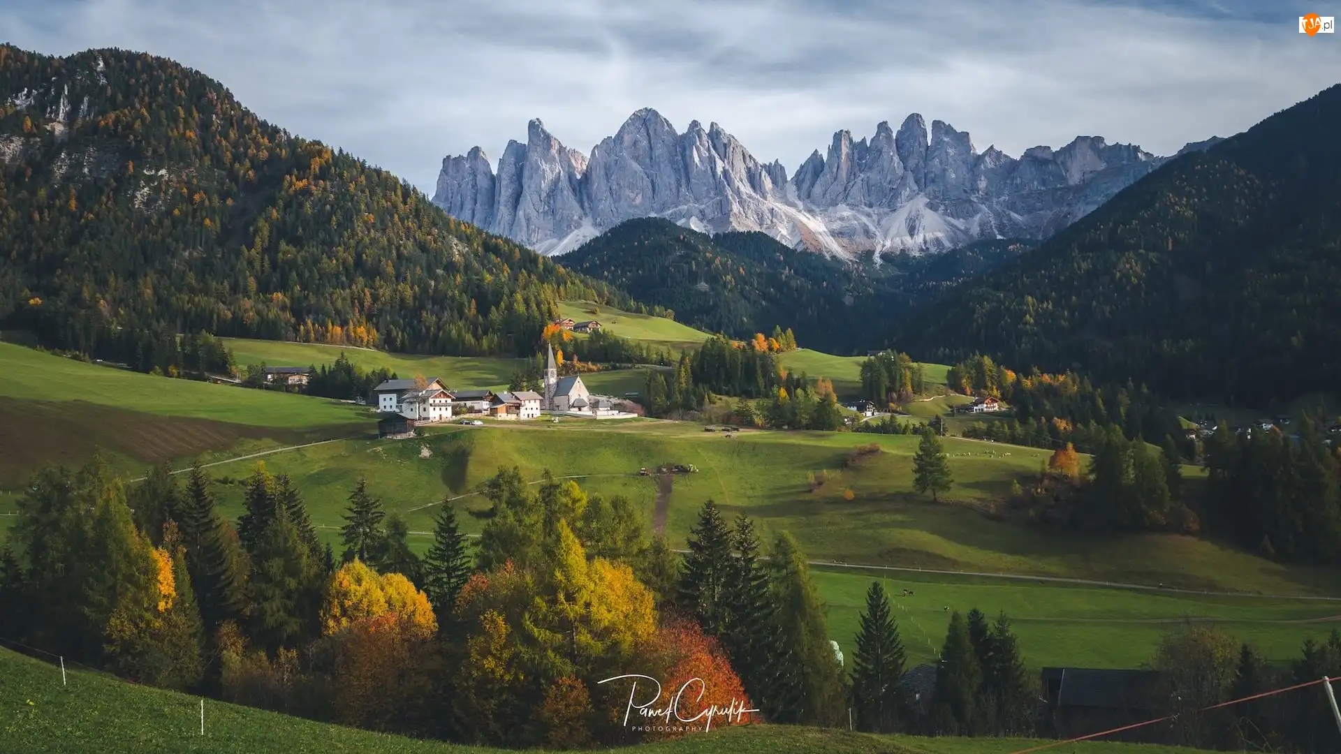 Wieś, Santa Maddalena, Drzewa, Włochy, Domy, Dolomity, Góry
