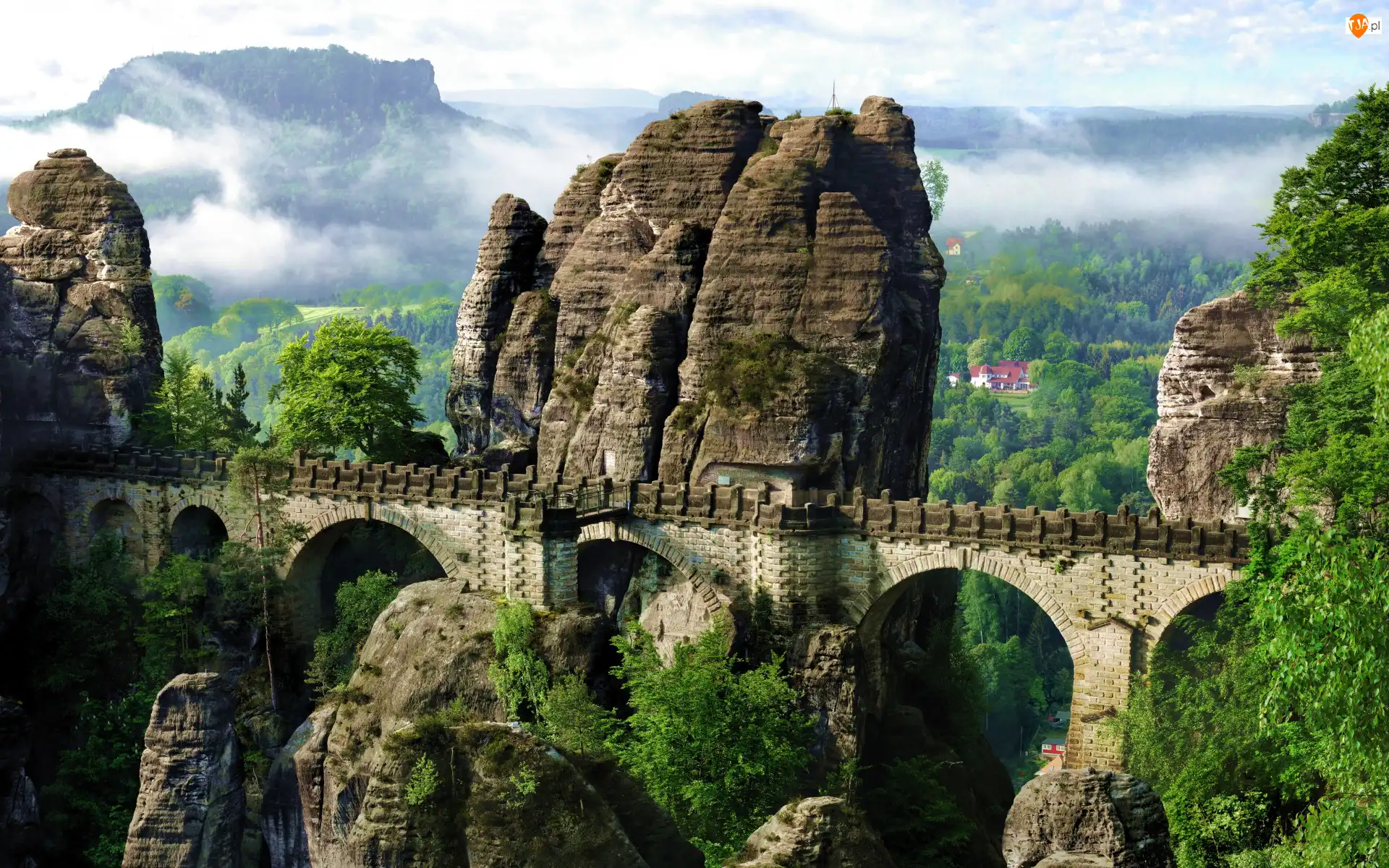 Las, Niemcy, Most Bastei, Drzewa, Góry Połabskie, Skały, Mgła, Park Narodowy Saskiej Szwajcarii
