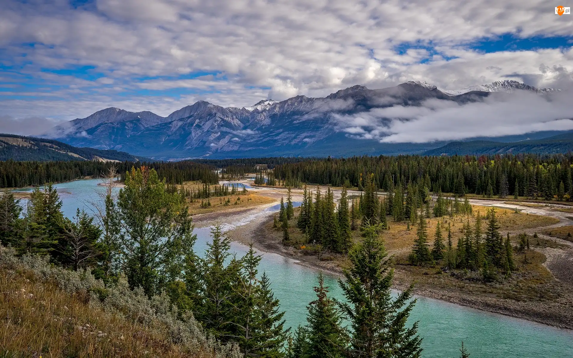 Rzeka Mietle, Góry, Park Narodowy Jasper, Kanada, Świerki, Alberta
