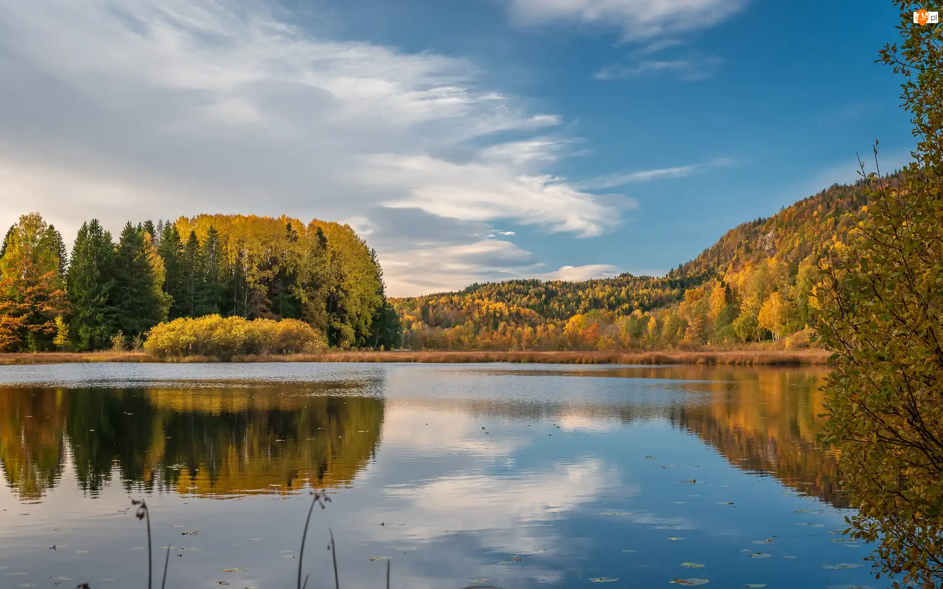 Jezioro, Norwegia, Las, Jesień, Semsvannet, Drzewa