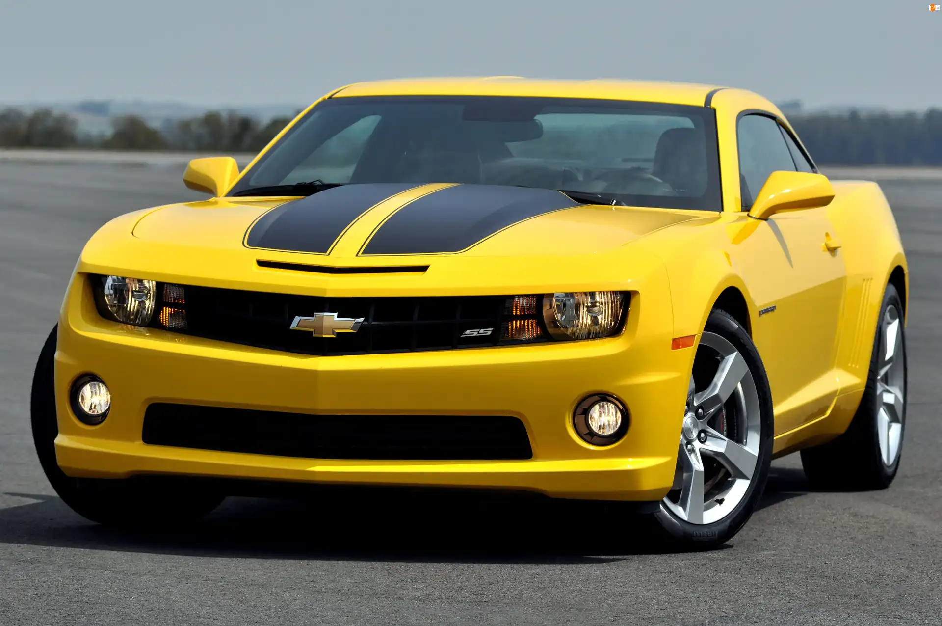 Żółty, Chevrolet, Camaro